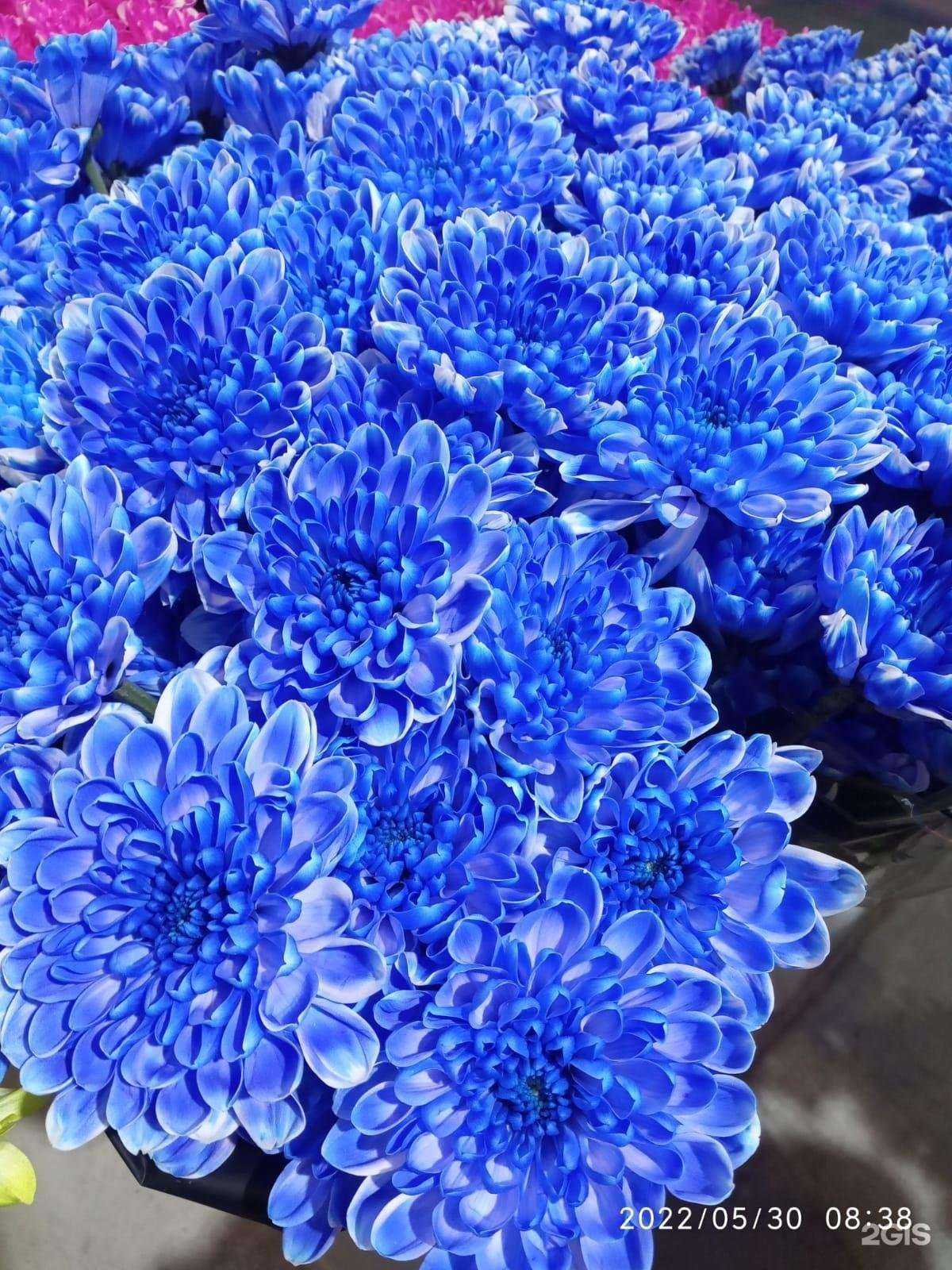 Отзывы на компанию Фрезия в Новосибирске c фото