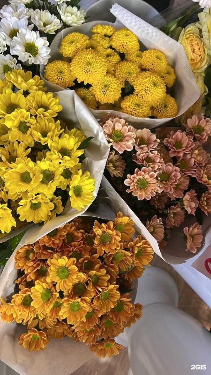 Отзывы на компанию Garden в г. Владивосток c фото