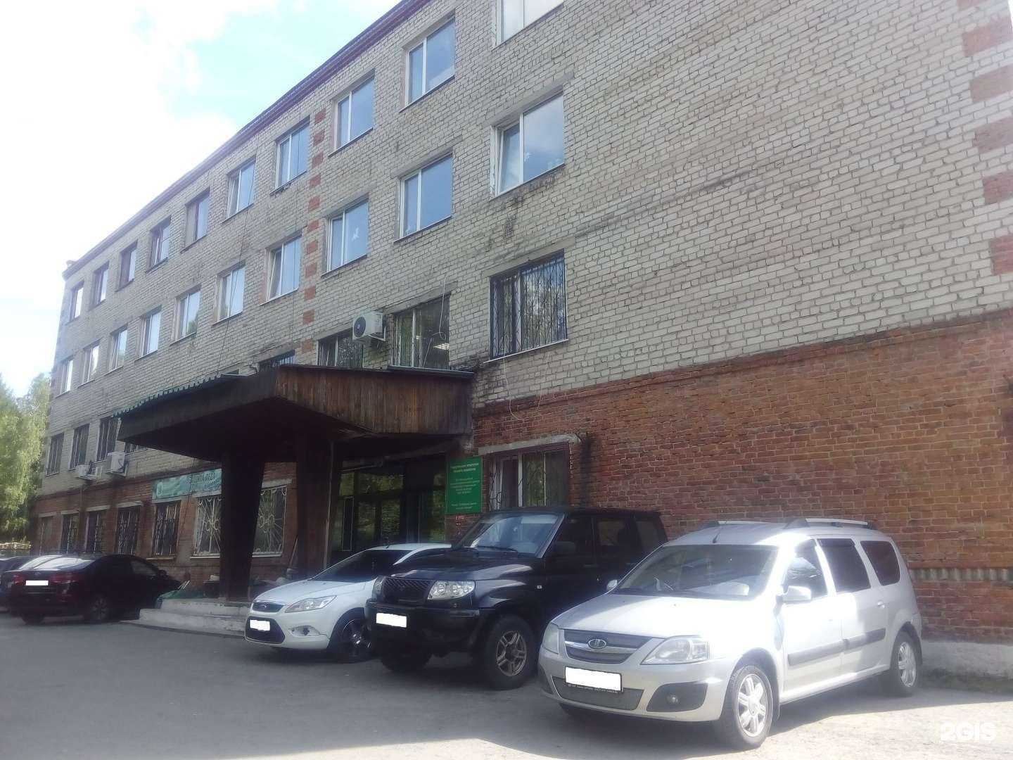 Отзывы на компанию АстреяRoyal в Тюмени c фото - фотография 2 из 2