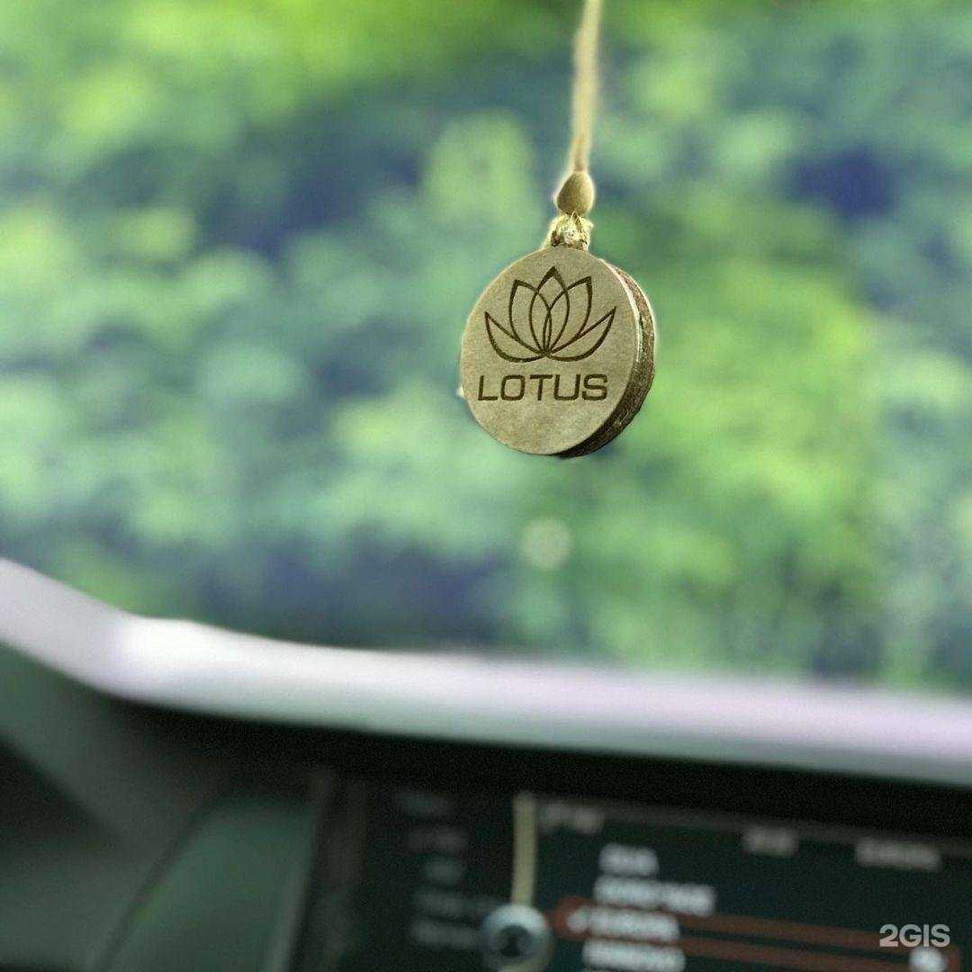 Отзывы на компанию Лотус в Иванове c фото