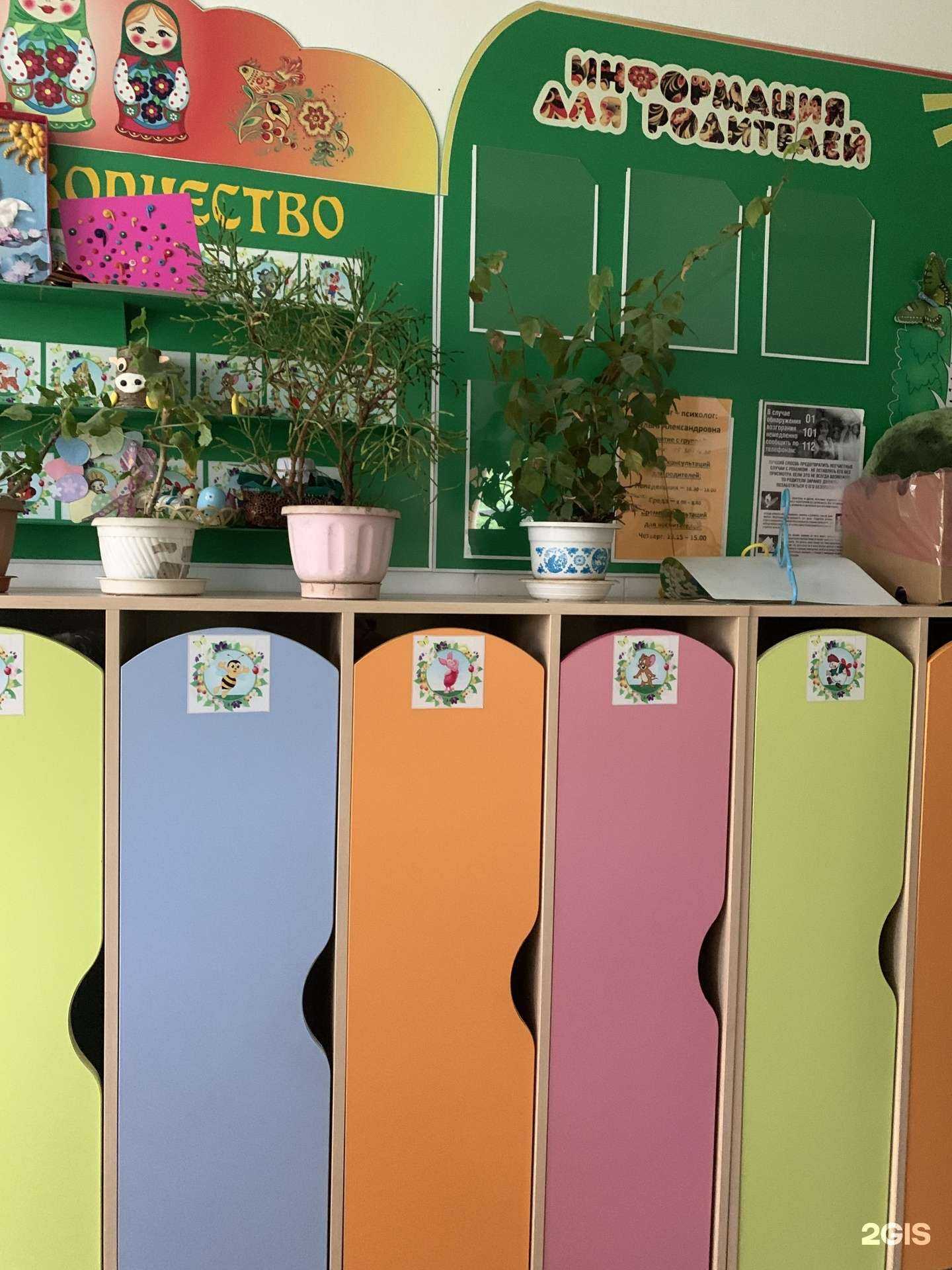 Отзывы на компанию Маша и медведь в Владивостоке c фото