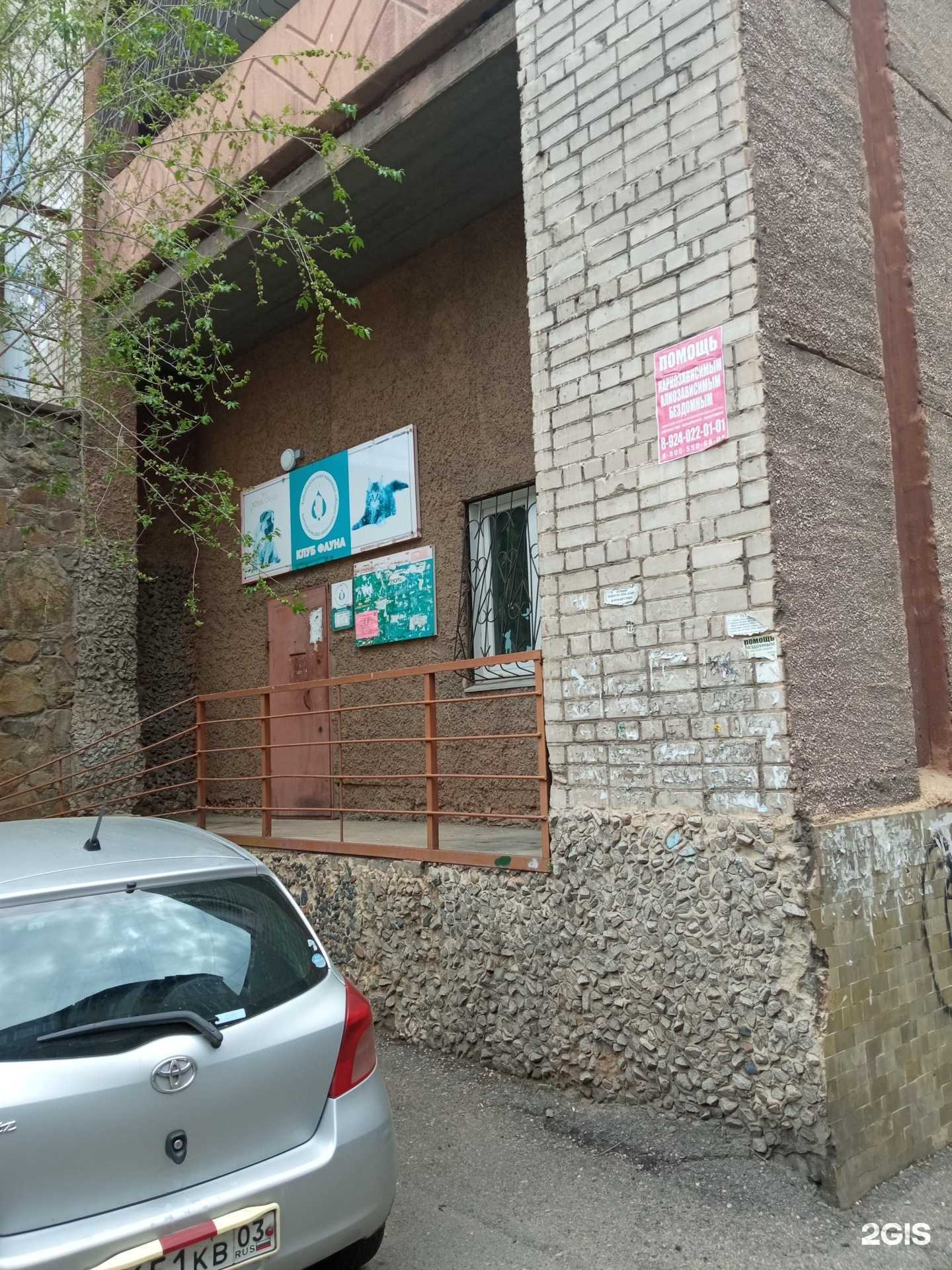 Отзывы на компанию Фауна в Чите c фото