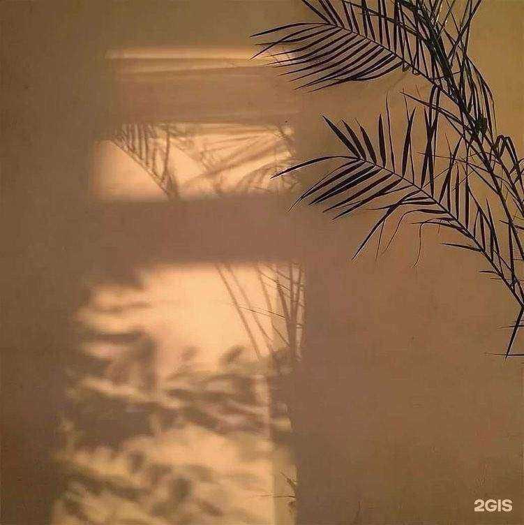 Отзывы на компанию Fashion LAB в Махачкале c фото