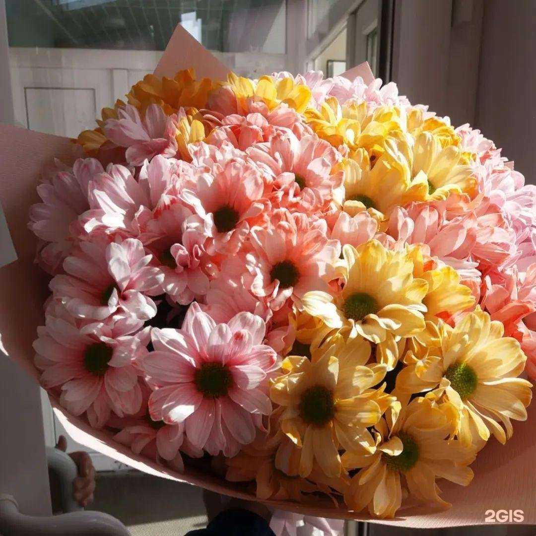 Отзывы на компанию Гладиолус-Вл в Владивостоке c фото