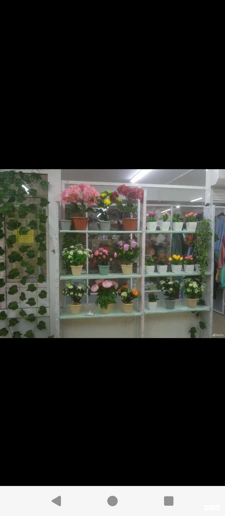 Отзывы на компанию Магазин искусственных цветов в г. Омск c фото