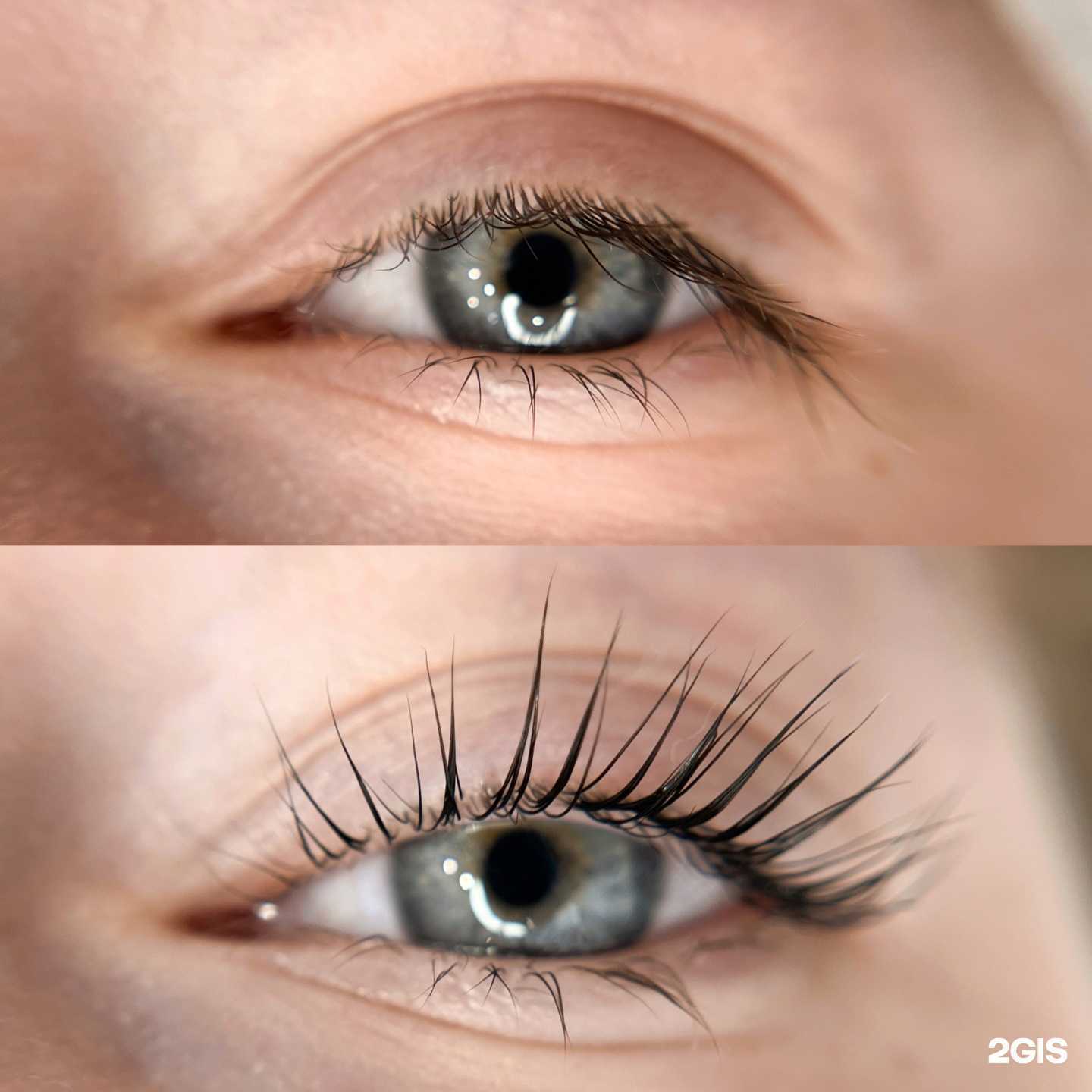 Отзывы на компанию Anatomia в Перми c фото