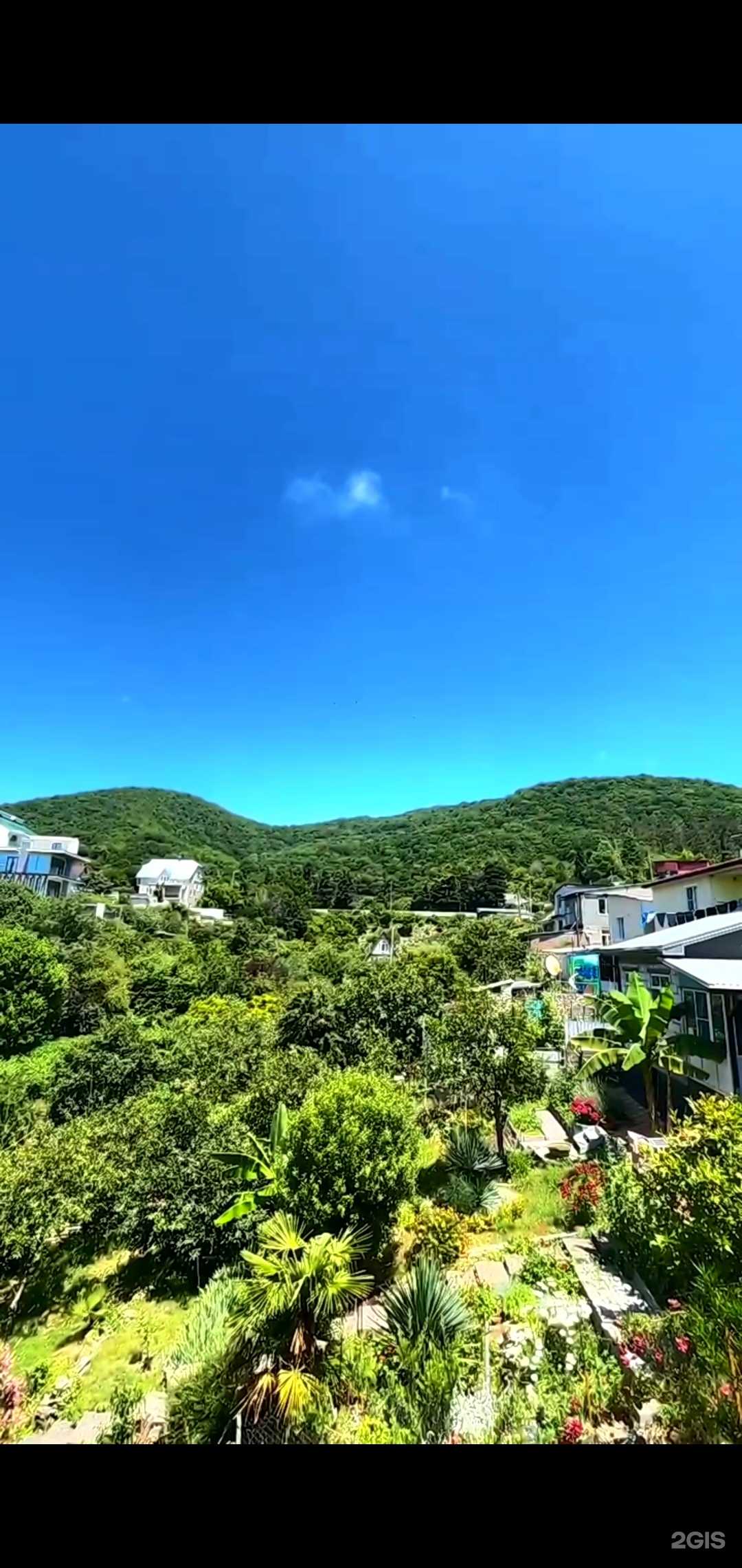 Отзывы на компанию Sofia в Сочи c фото