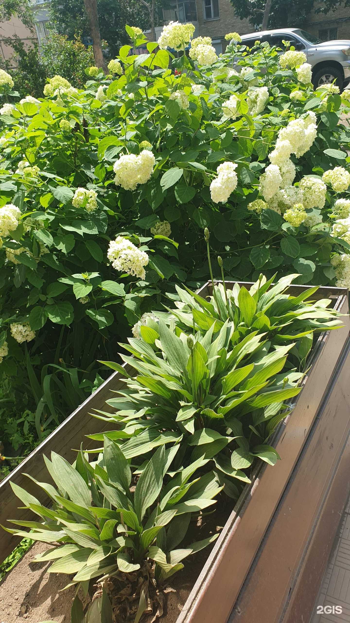 Отзывы на компанию Брауни в г. Владивосток c фото