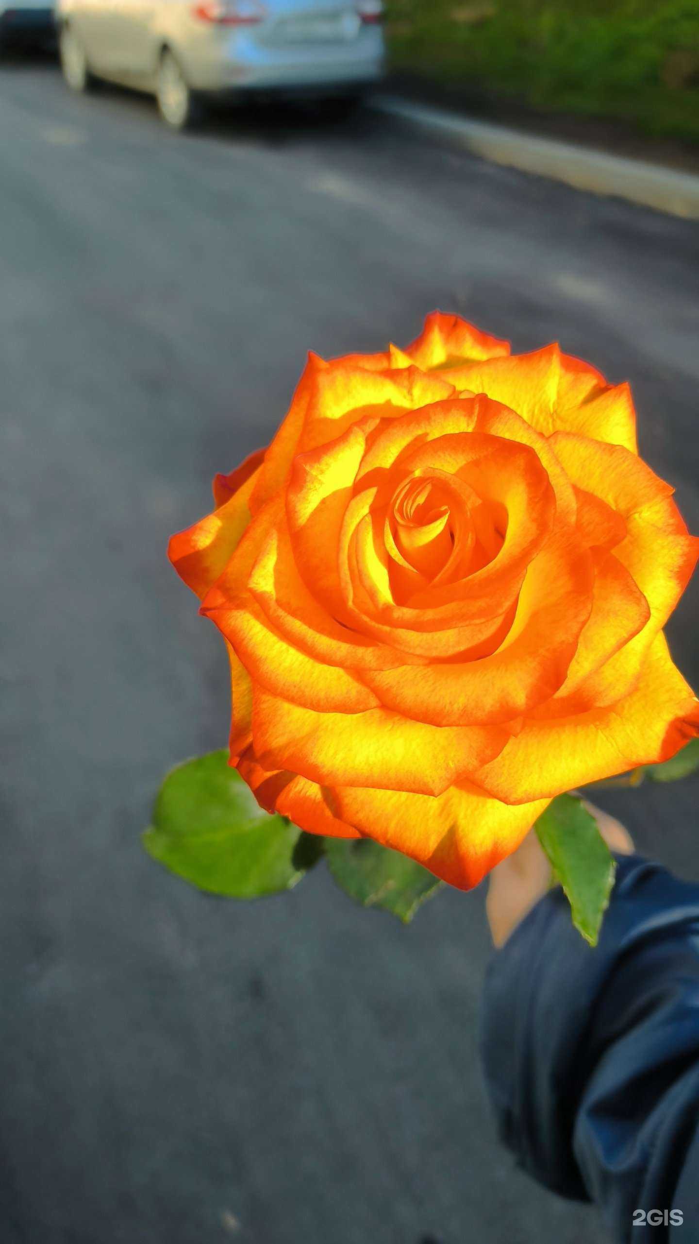 Отзывы на компанию Floflowers в Новосибирске c фото