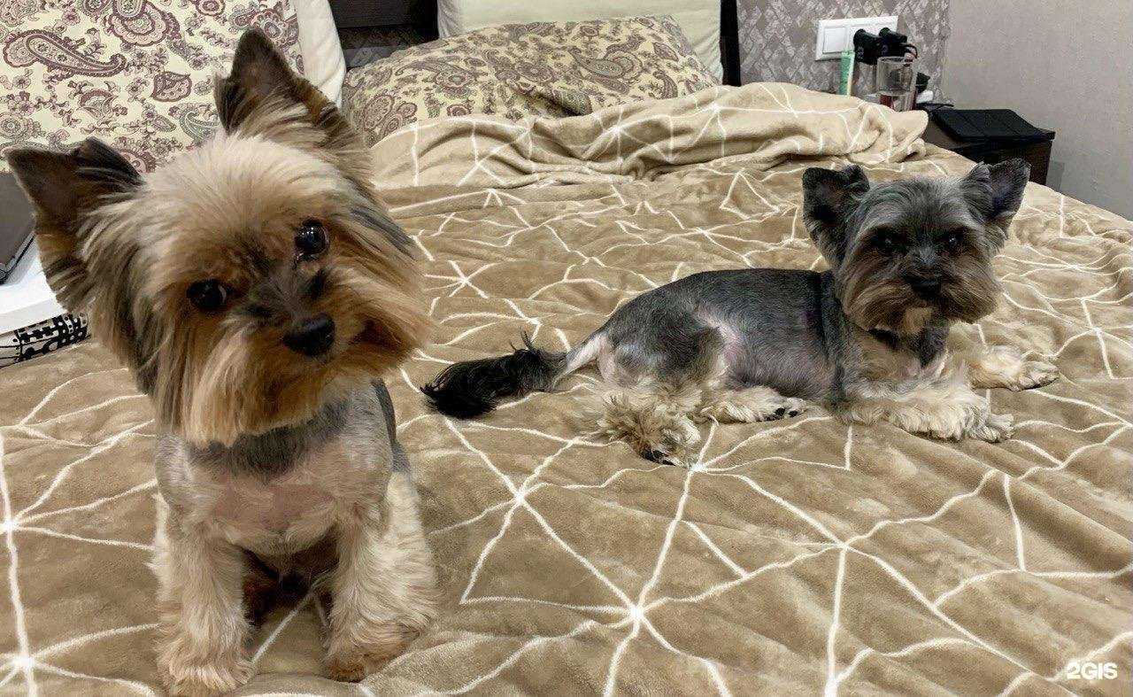 Отзывы на компанию Милорд в Королёве c фото