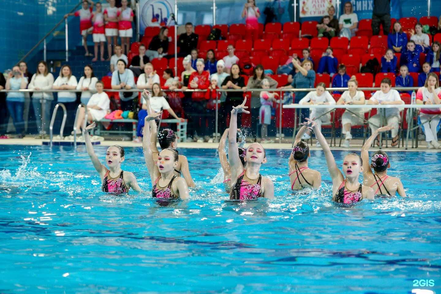 Отзывы на компанию Дельфин в Нижнем Новгороде c фото