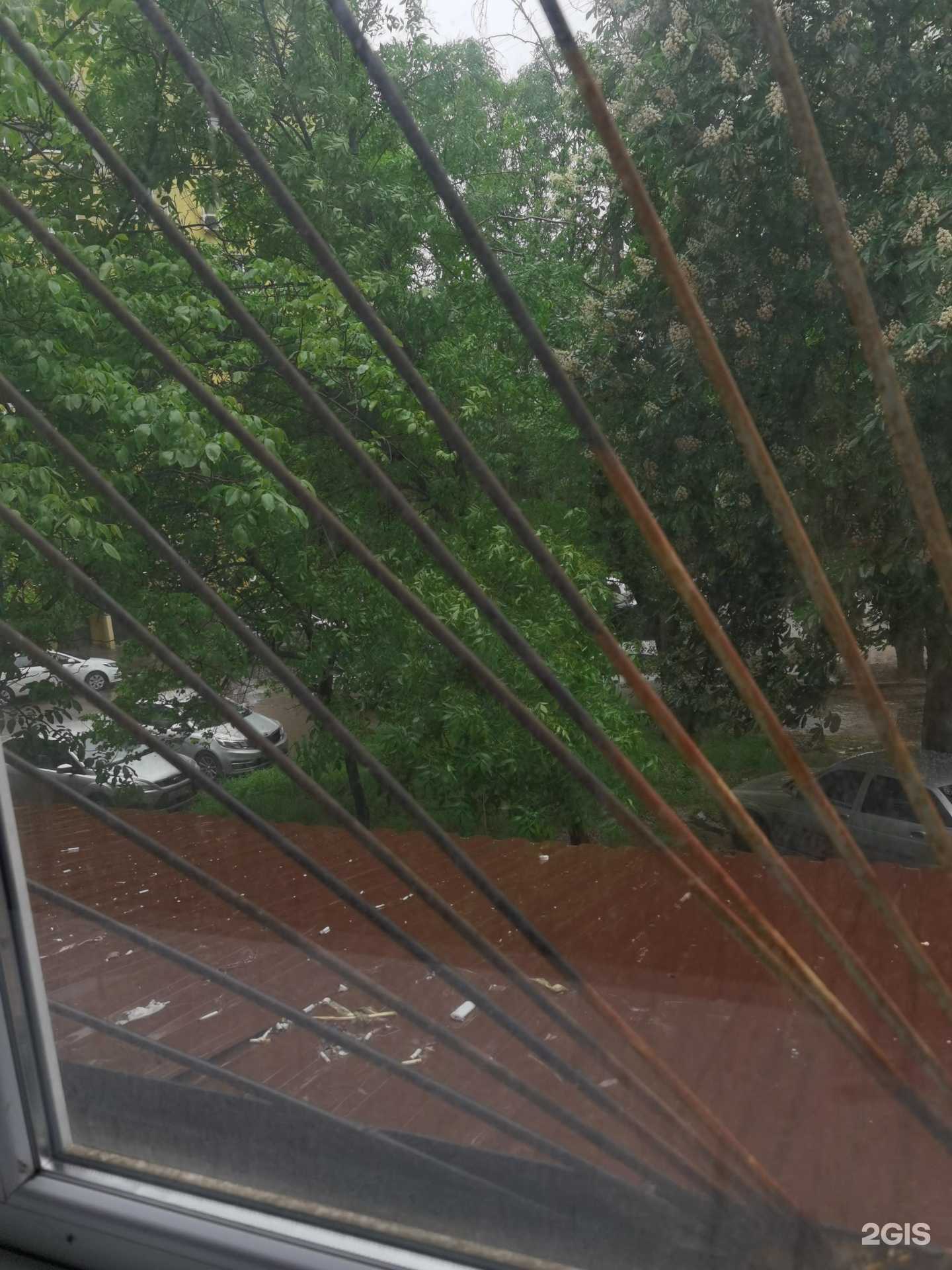 Отзывы на компанию Живая вода в Ростове-на-Дону c фото - фотография 2 из 2