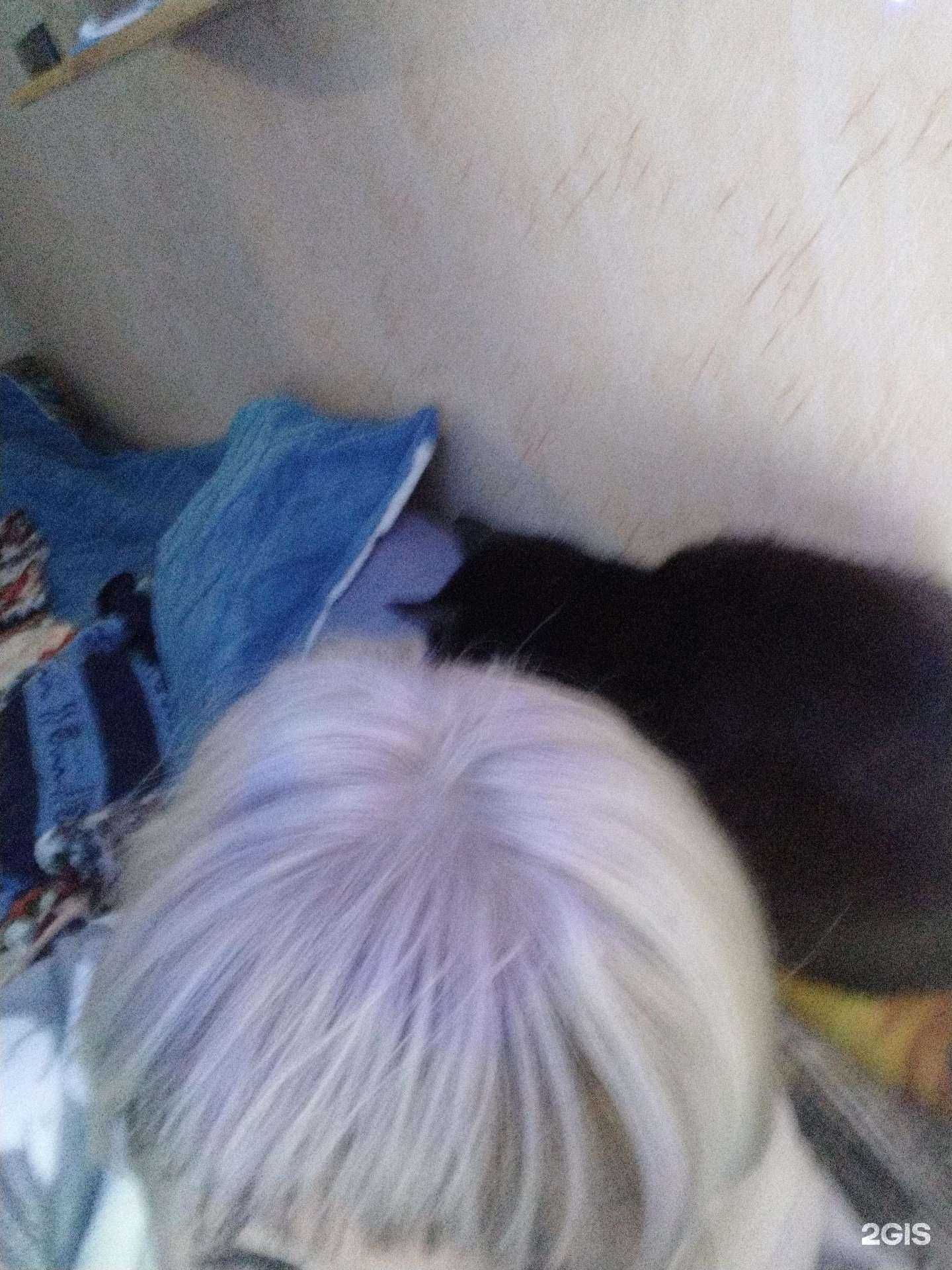 Отзывы на компанию Шарм в г. Дудинка c фото