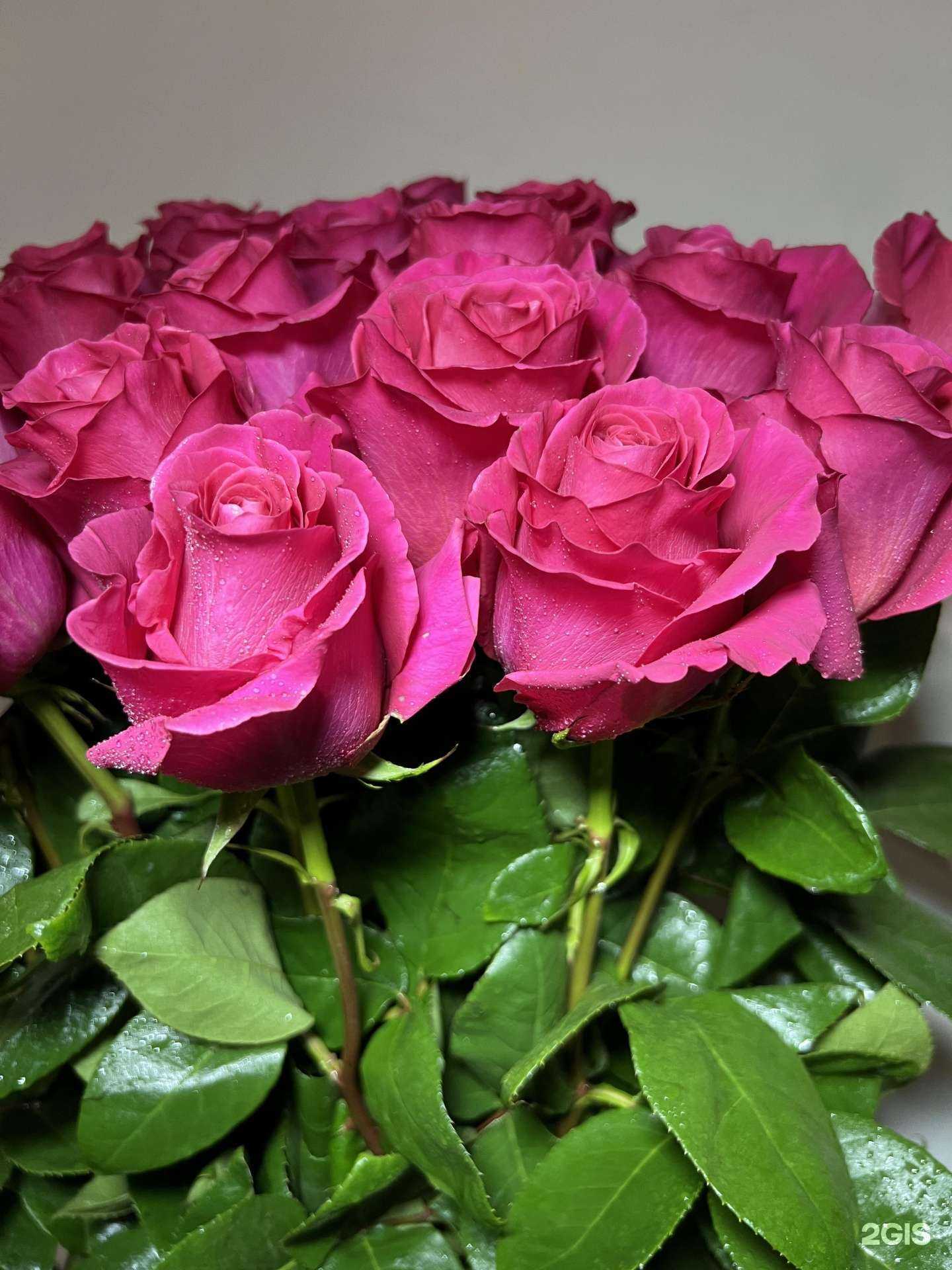 Отзывы на компанию Люкс розы в Краснодаре c фото