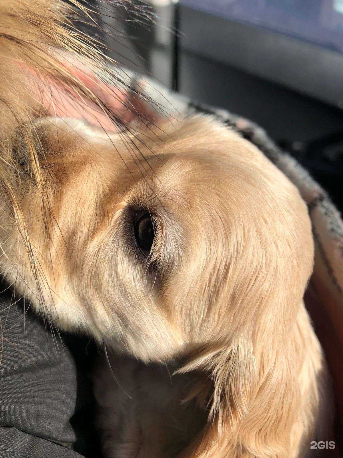 Отзывы на компанию Альфа в Новокузнецке c фото