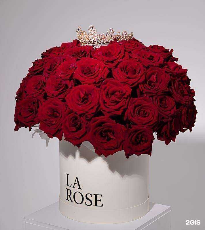 Отзывы на компанию La Rose в г. Новосибирск c фото
