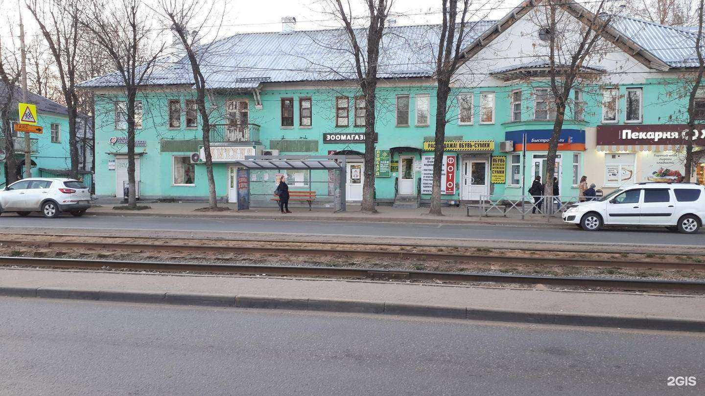 Отзывы на компанию Зоогалерея в Ярославле c фото - фотография 2 из 2