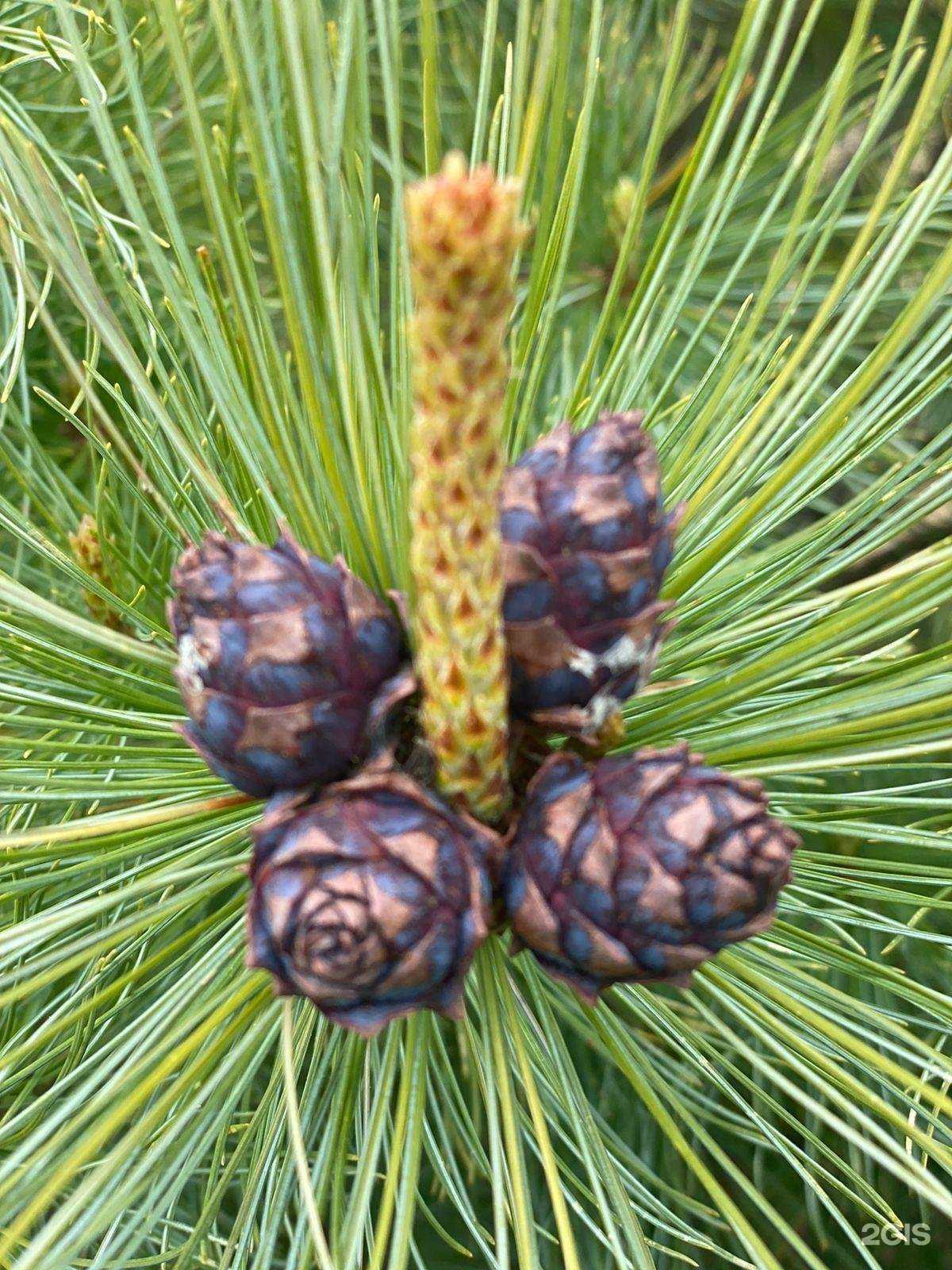 Отзывы на компанию Алтын в Краснодаре c фото - фотография 2 из 2