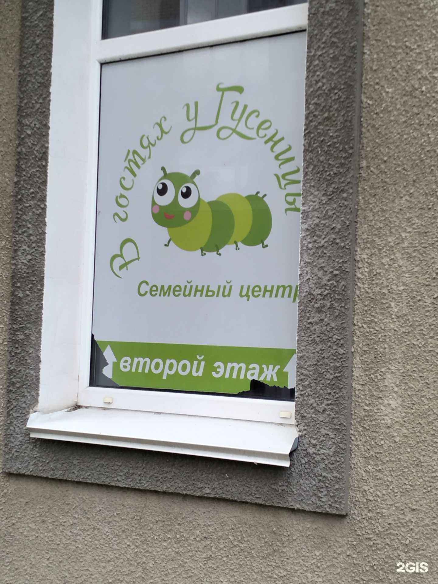 Отзывы на компанию В гостях у Гусеницы в Волгограде c фото