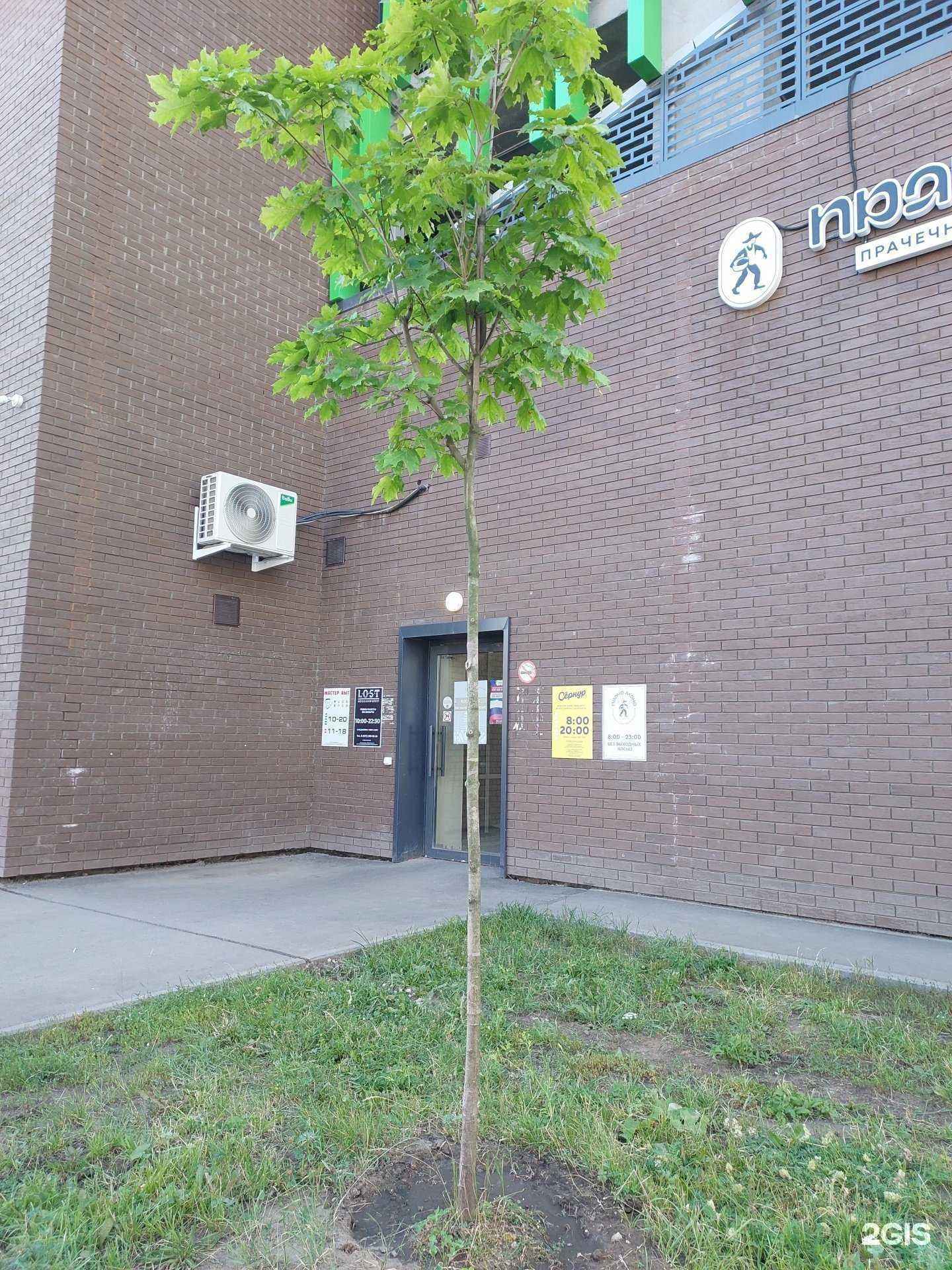 Отзывы на компанию LostGroup в Казани c фото