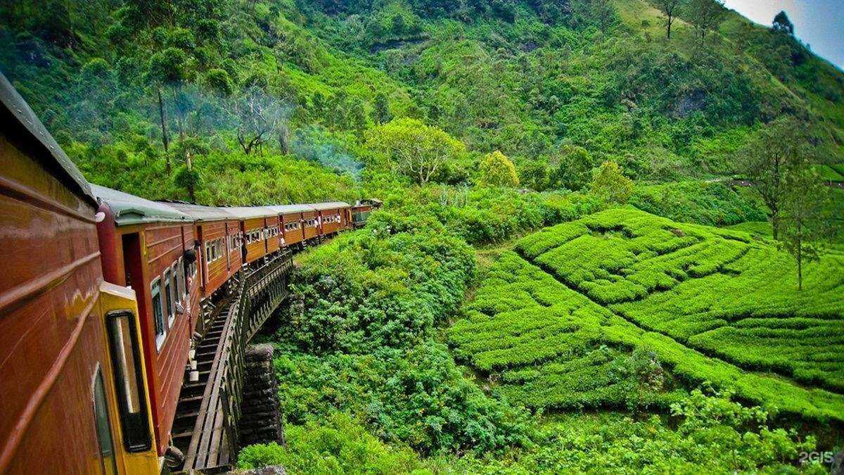 Отзывы на компанию Магазин горящих путёвок в г. Миасс c фото