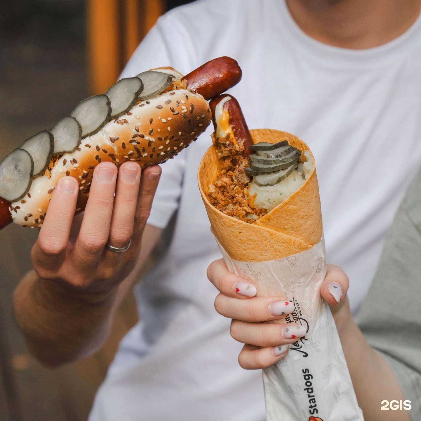 Отзывы на компанию Stardogs в Воронеже c фото