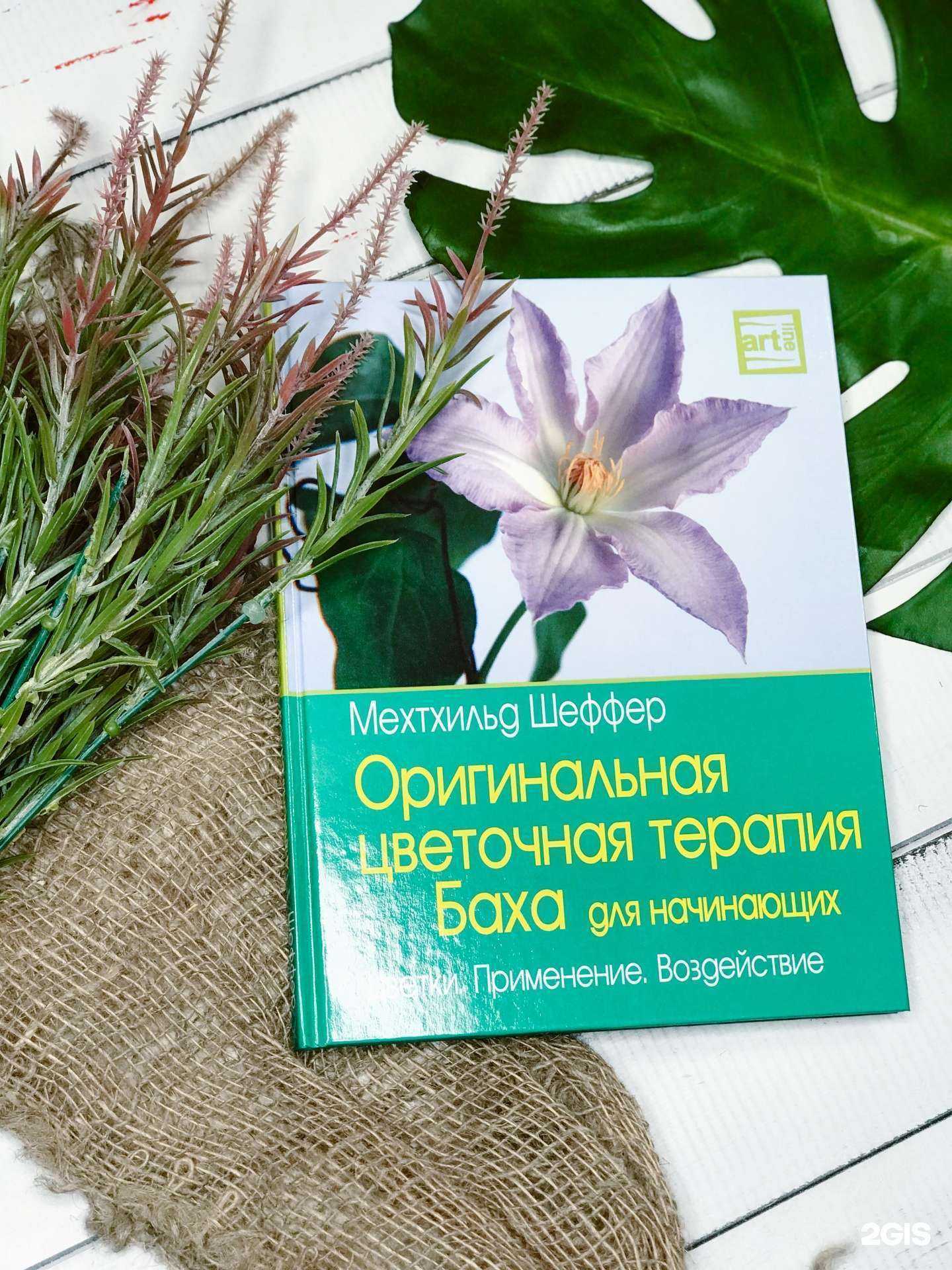 Отзывы на компанию Наджа в Сургуте c фото