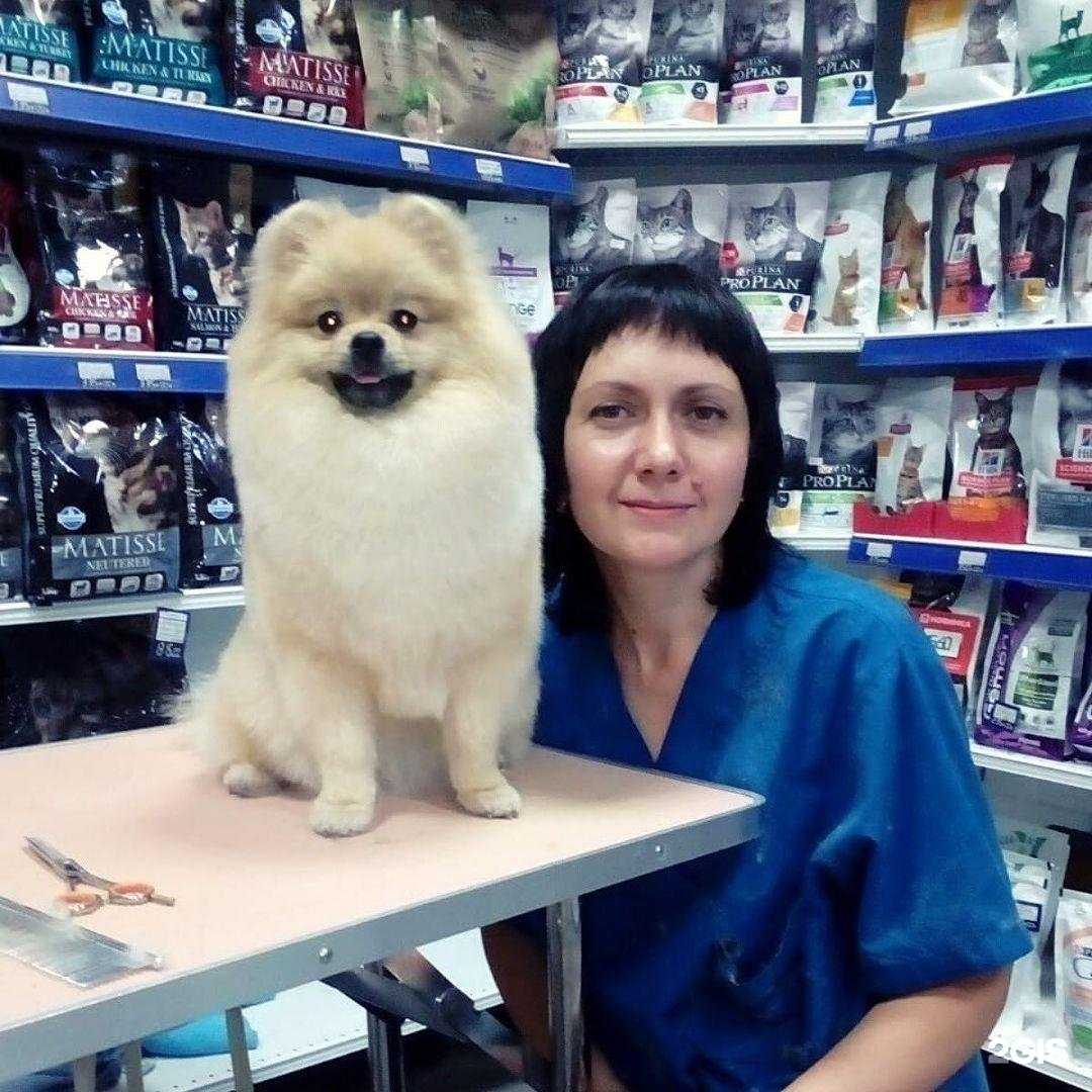 Отзывы на компанию Vetgard в г. Ростов-на-Дону c фото