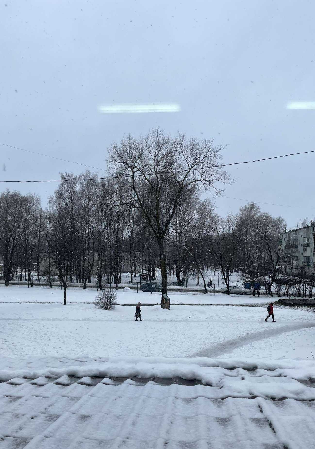 Отзывы на компанию Многопрофильный в г. Псков c фото