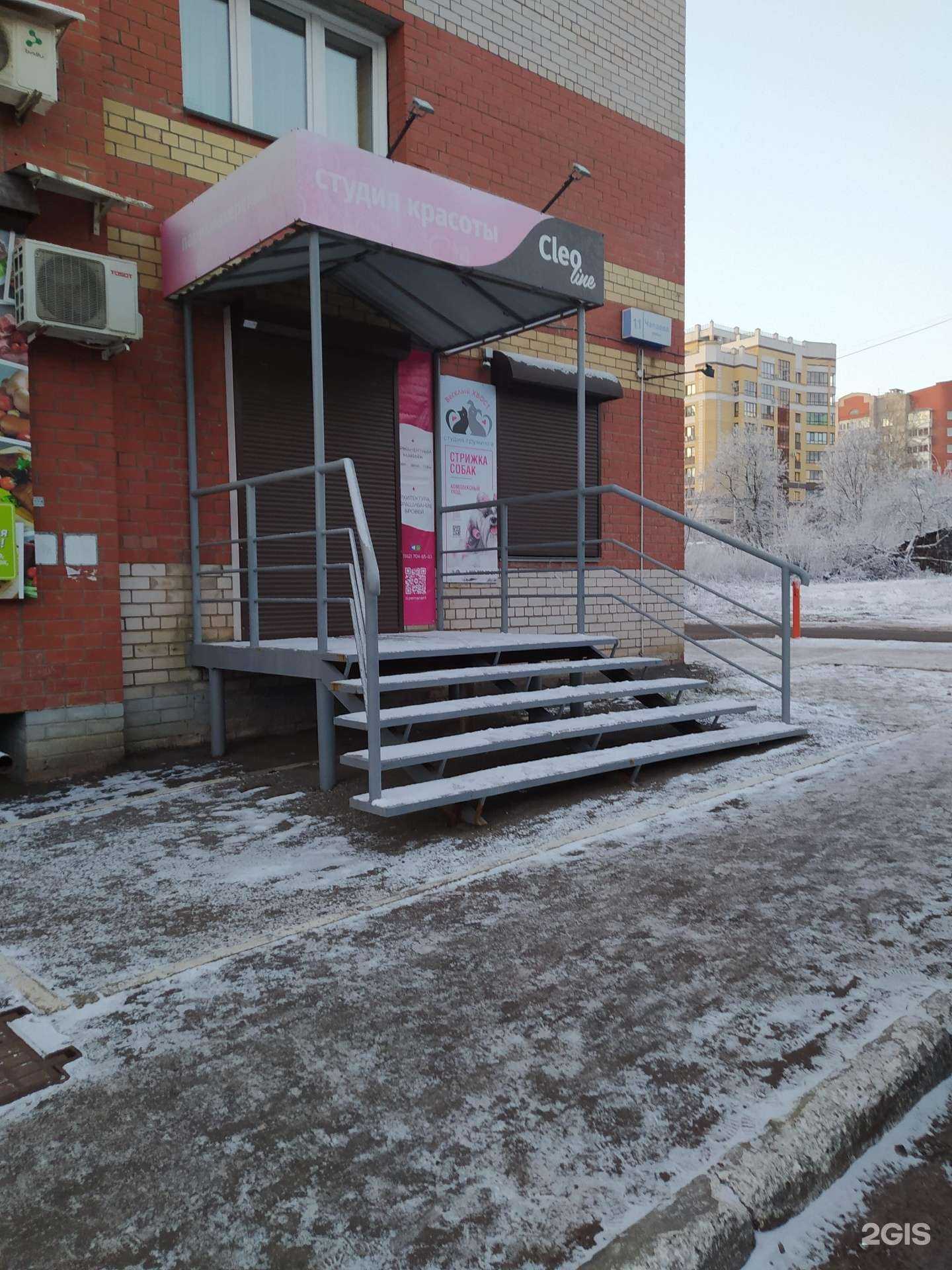 Отзывы на компанию Веселый хвост в г. Киров c фото