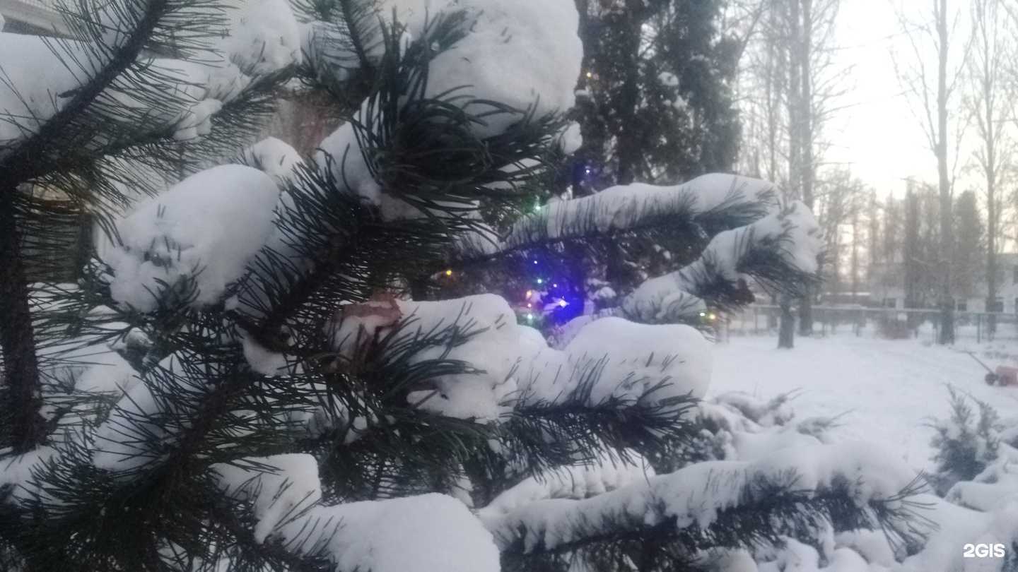 Отзывы на компанию Соловушка в г. Тольятти c фото