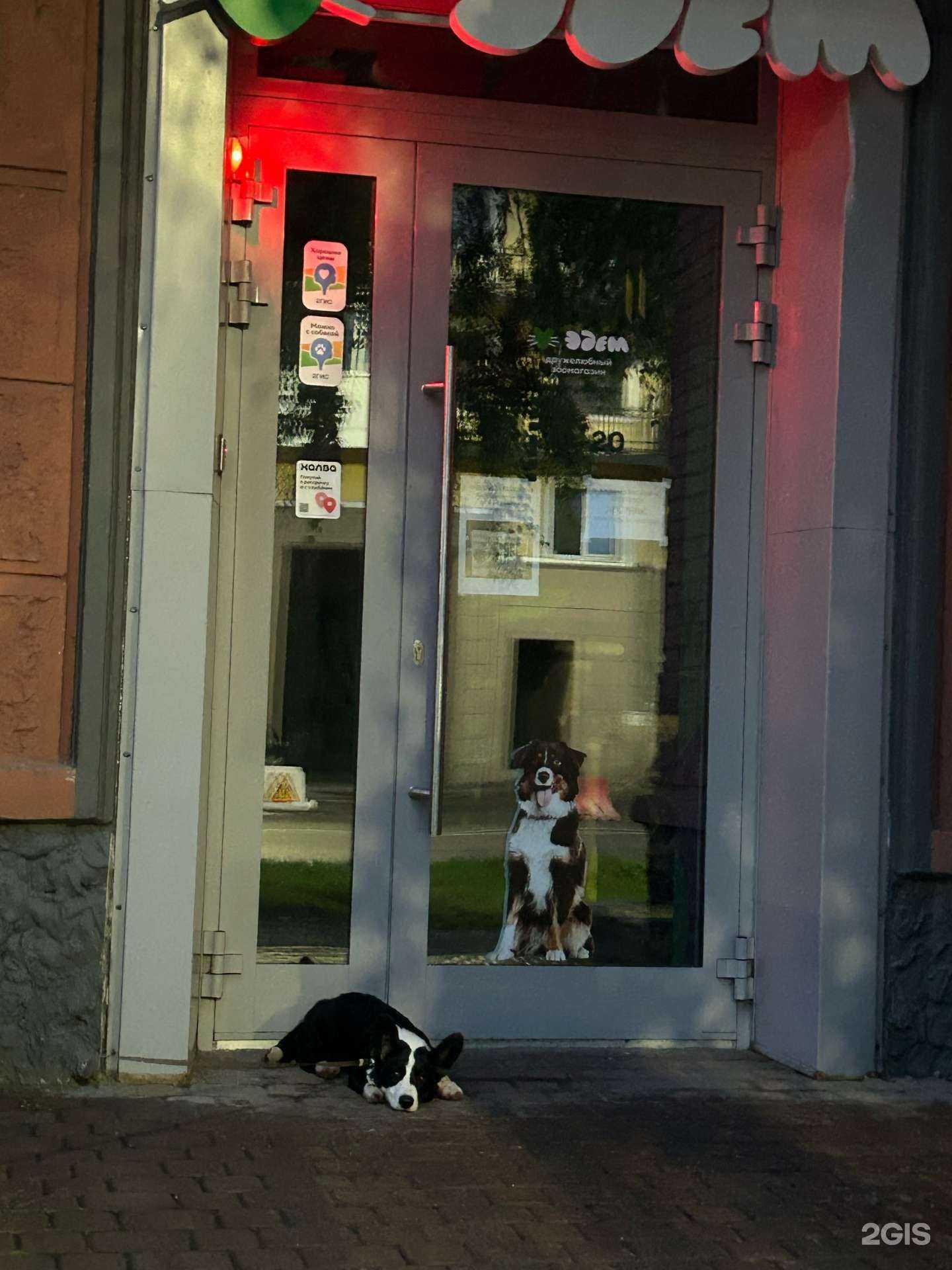 Отзывы на компанию Эдем в г. Новокузнецк c фото