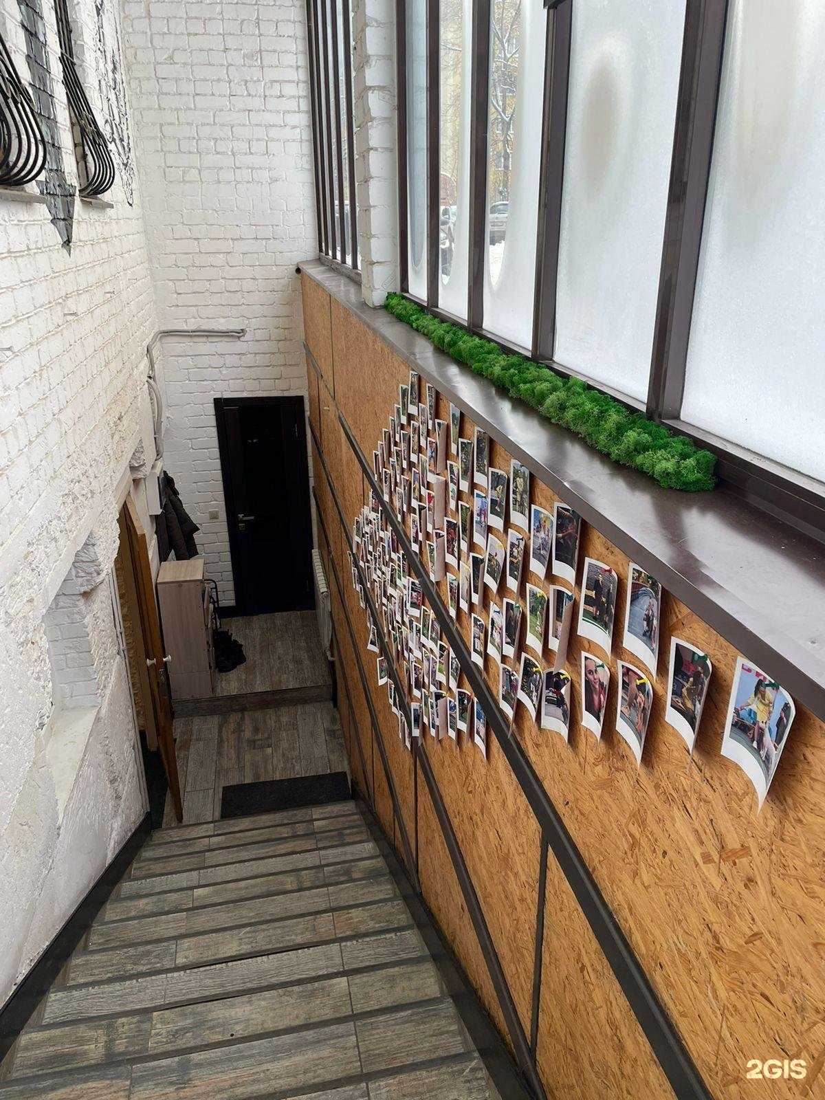 Отзывы на компанию Зооцентр Кинг в г. Воронеж c фото