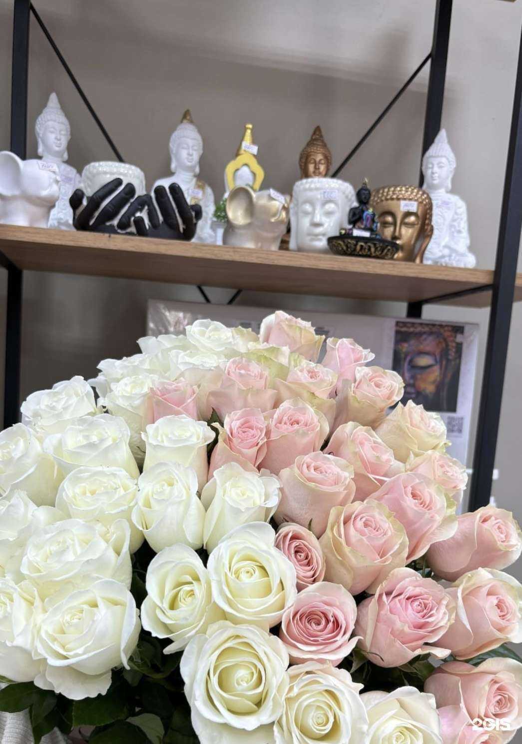 Отзывы на компанию Amor в г. Кызыл c фото