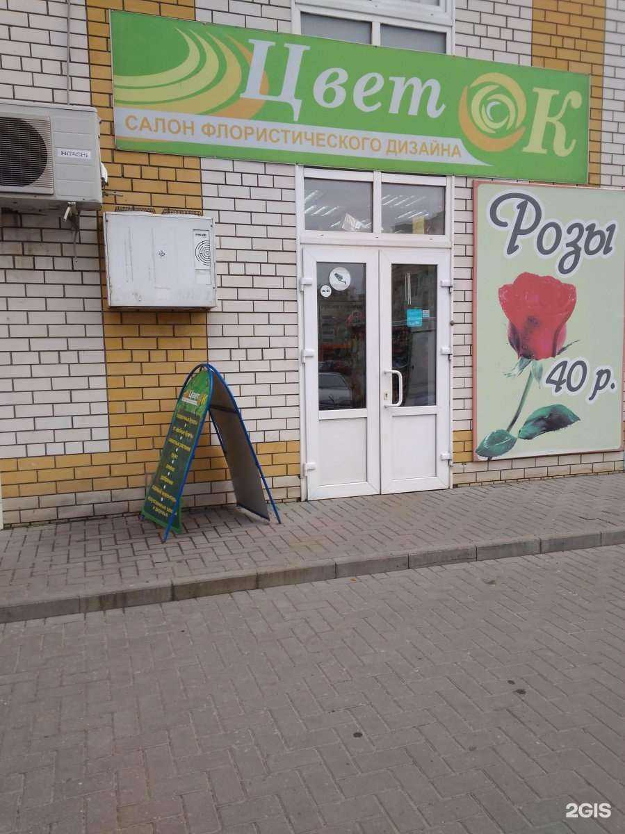 Отзывы на компанию Цветок в Тамбове c фото