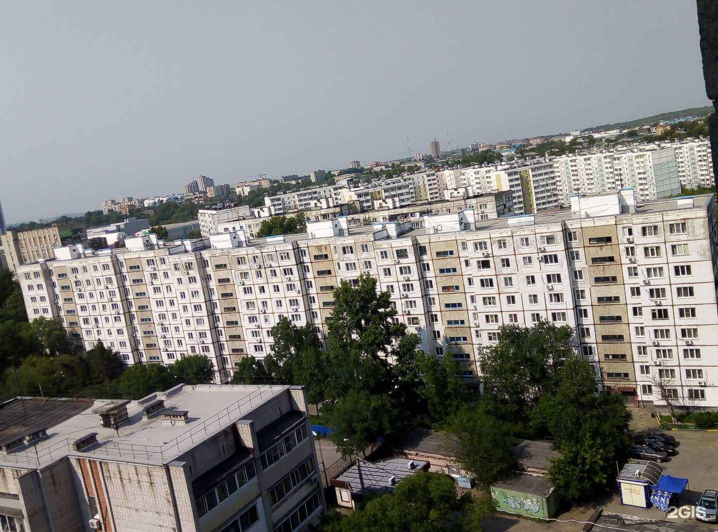 Отзывы на компанию Репетитор в Хабаровске c фото - фотография 2 из 2