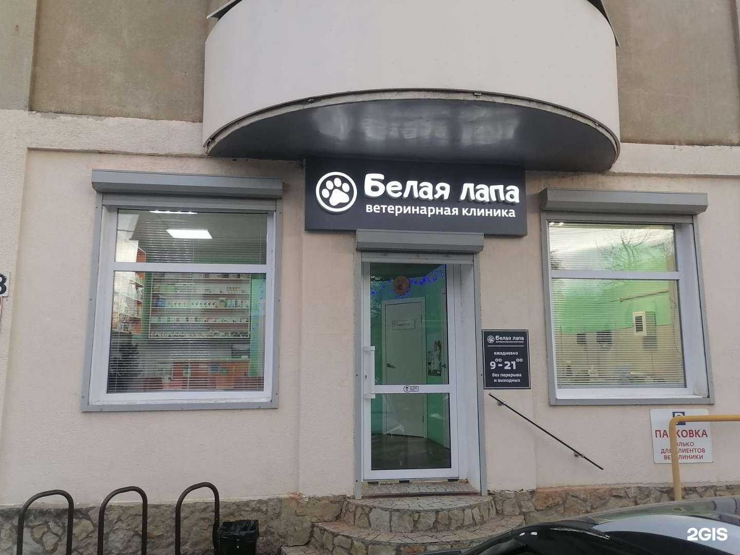 Отзывы на компанию Белая лапа в Краснодаре c фото