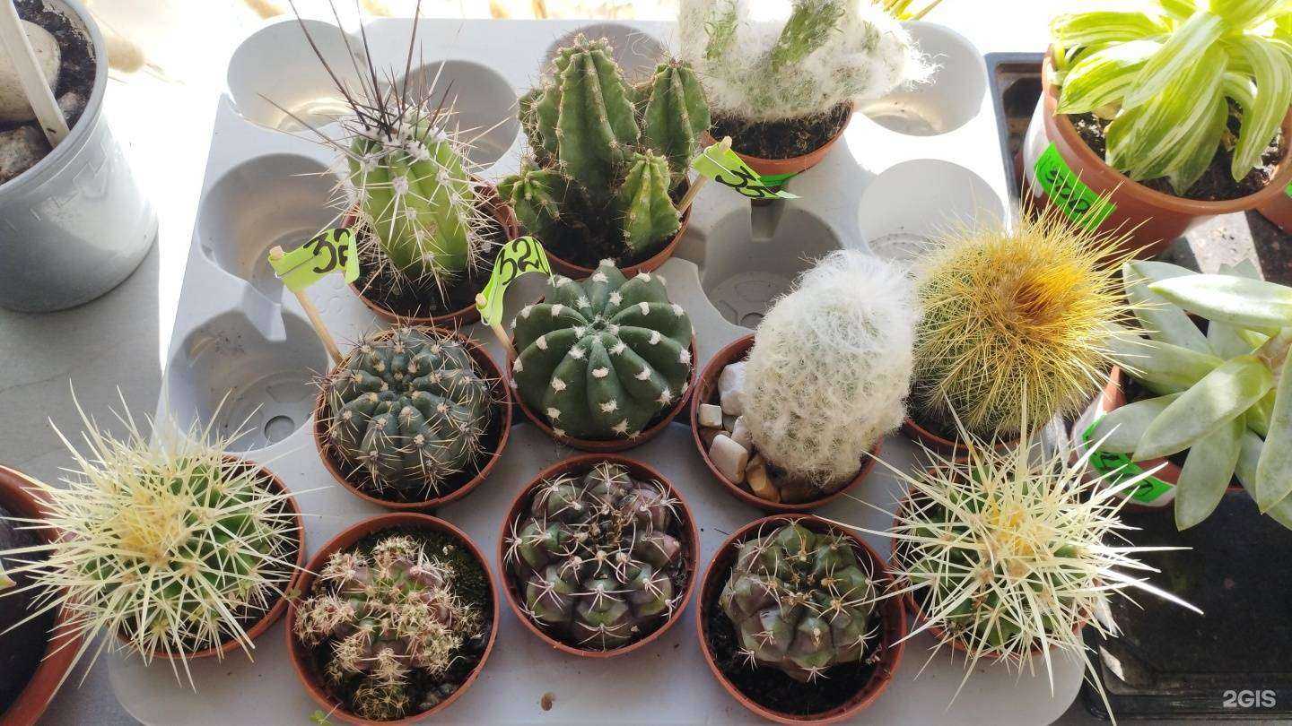 Отзывы на компанию Приятные мелочи в г. Ейск c фото