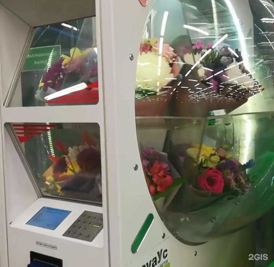 Отзывы на компанию Travayc в Уссурийске c фото