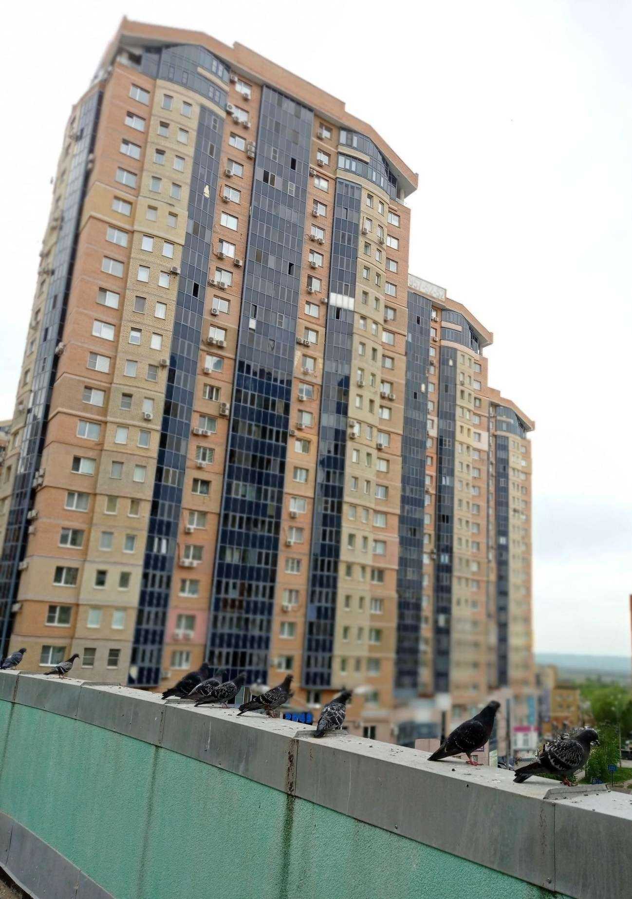 Отзывы на компанию Морской аквариум в Самаре c фото - фотография 2 из 2