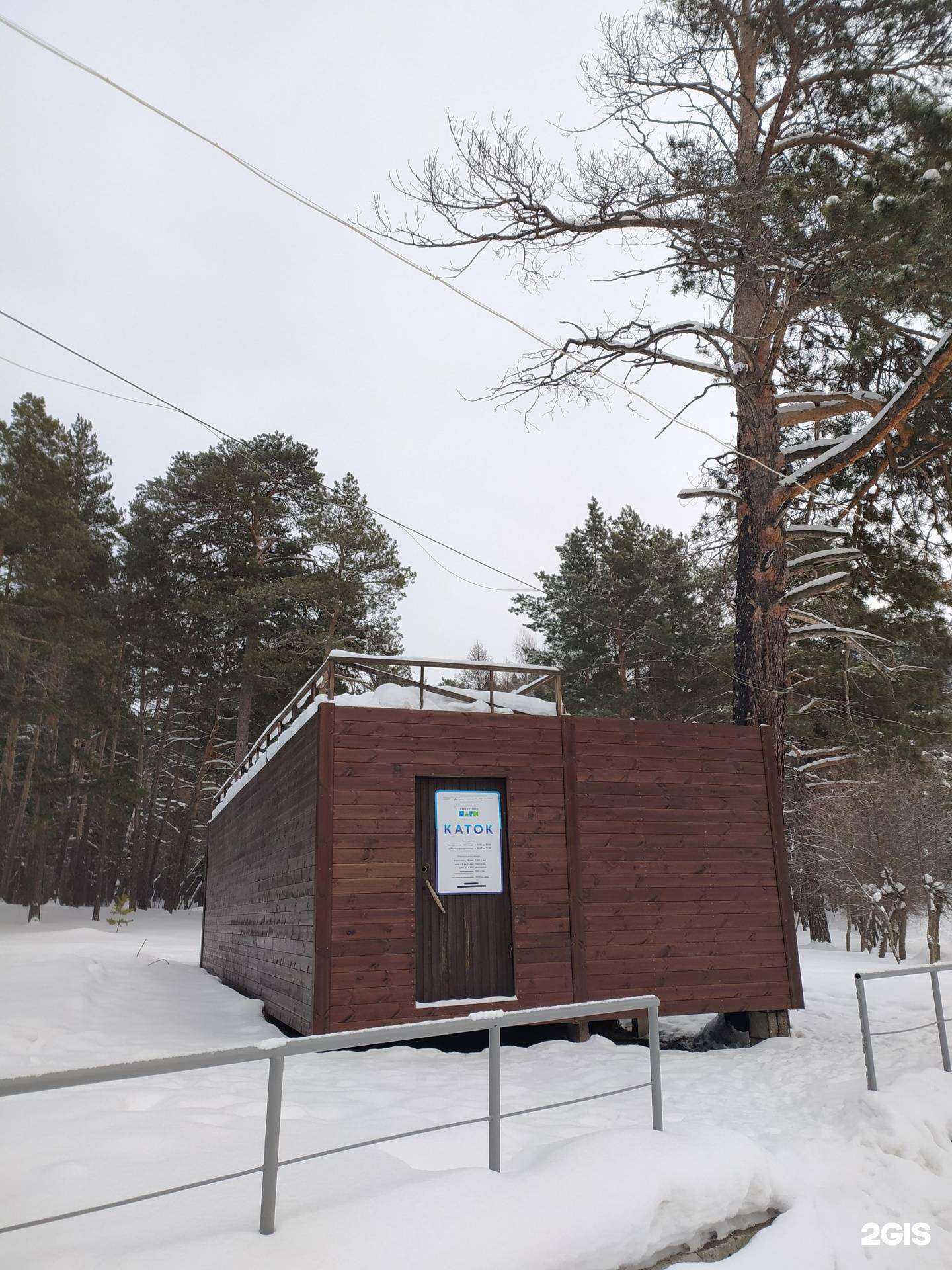 Отзывы на компанию Служба проката спортивного инвентаря в г. Новосибирск c фото