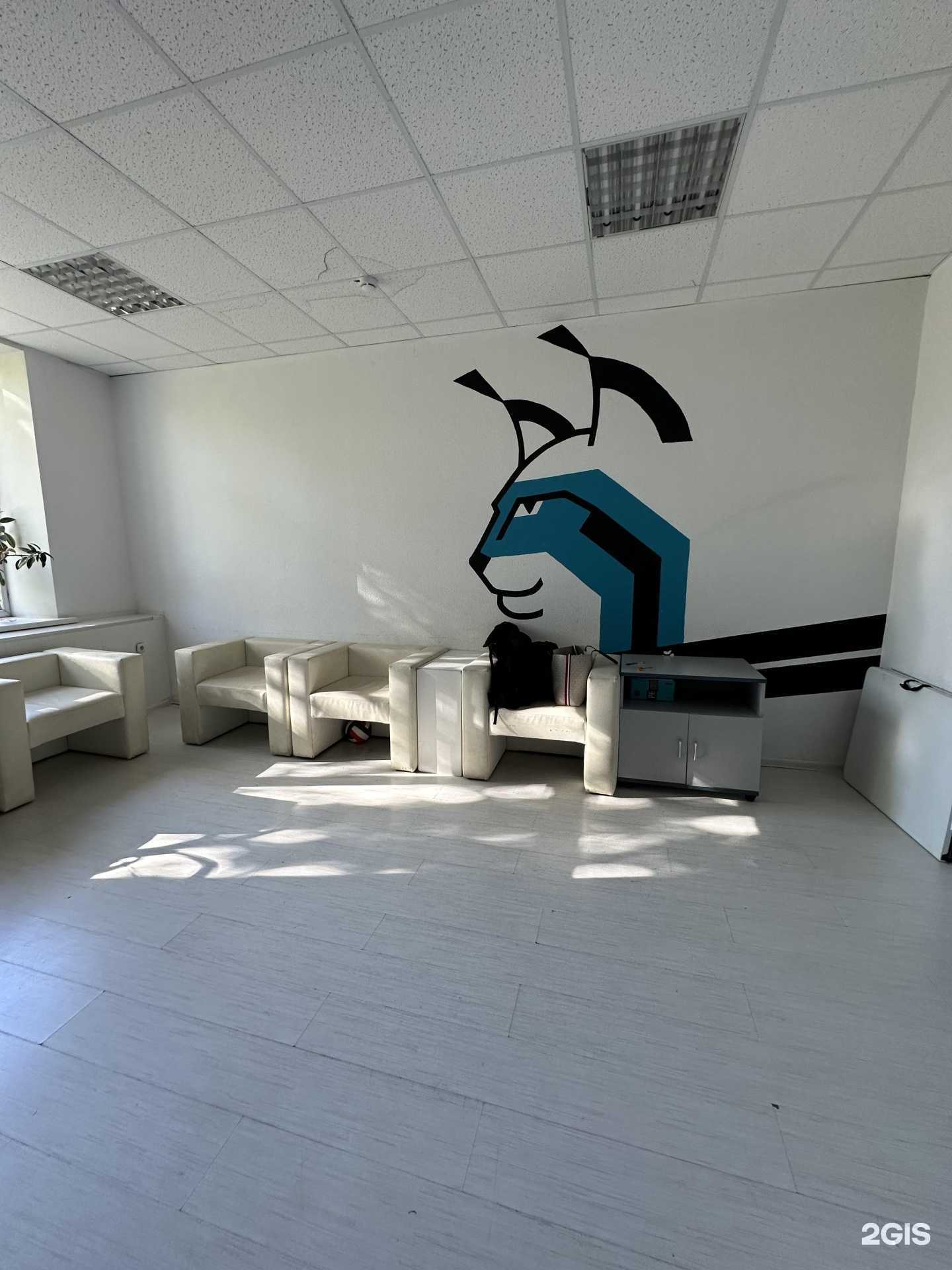 Отзывы на компанию Венера и Вавилон в Перми c фото