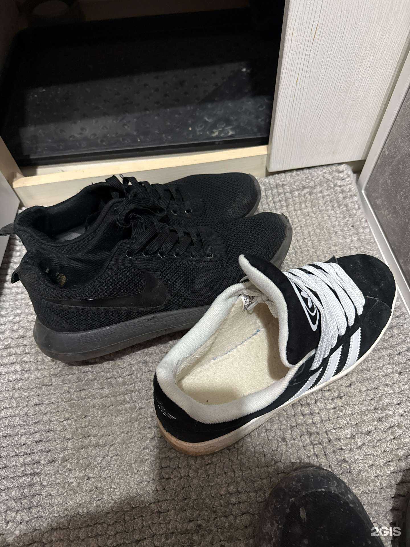 Отзывы на компанию Lambo в Омске c фото