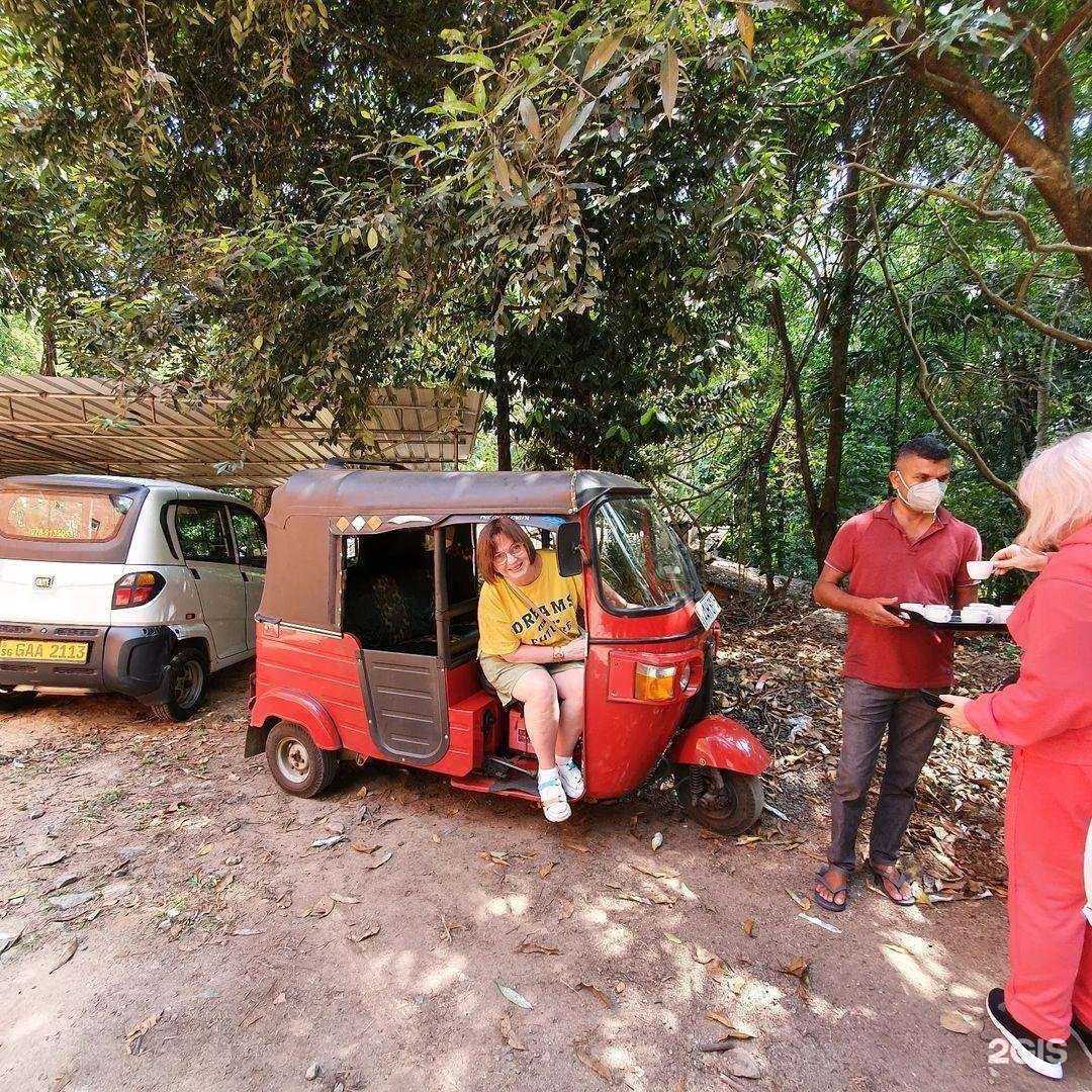 Отзывы на компанию Коралловый Клуб & Здоровый Мир Плюс в Ревде c фото