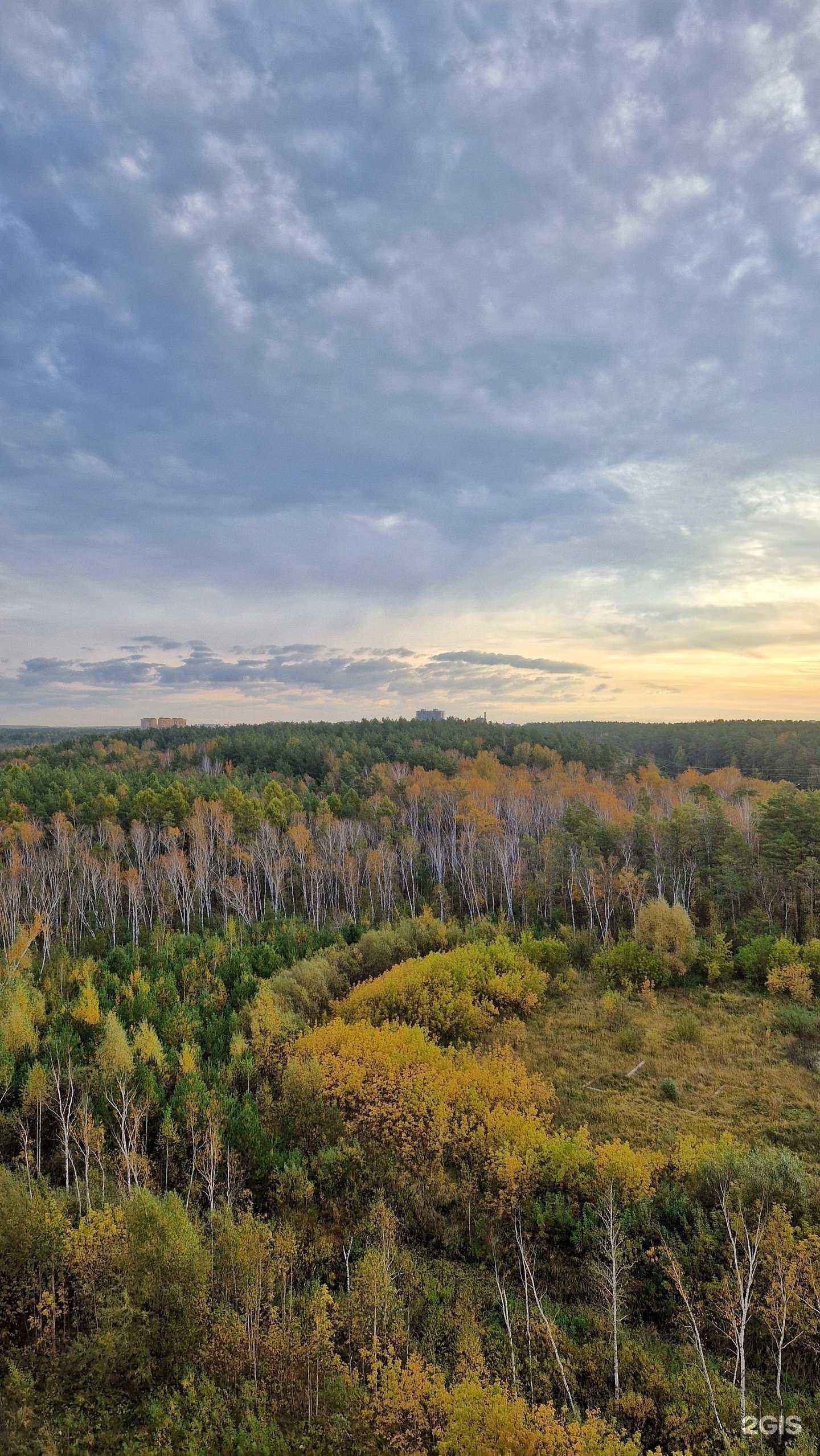 Отзывы на компанию Светоч-Новосибирск в Новосибирске c фото - фотография 2 из 2