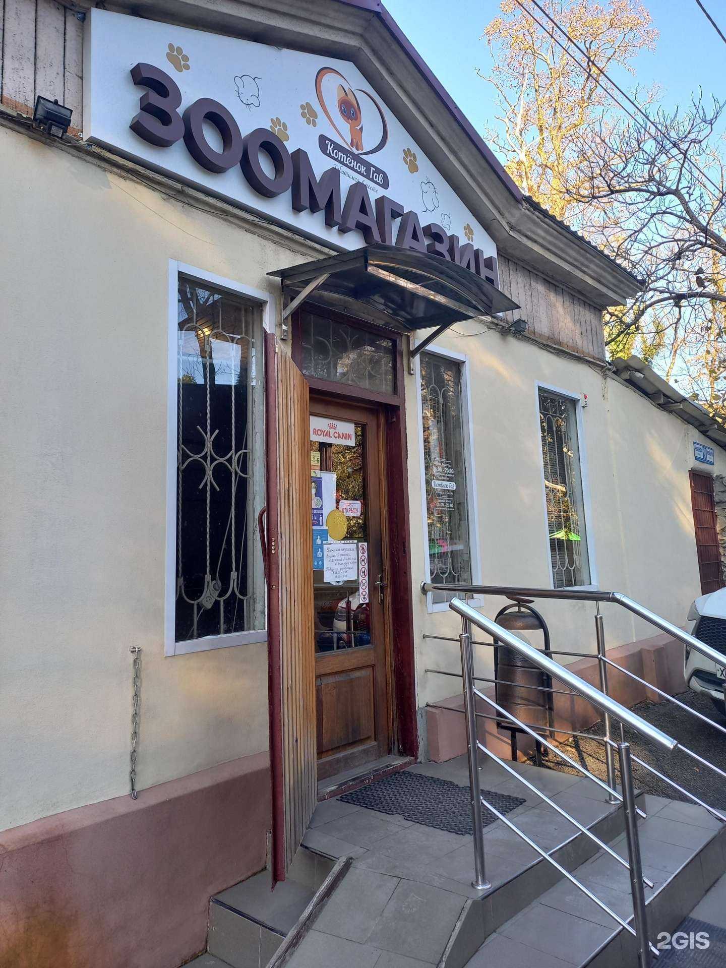 Отзывы на компанию Котенок Гав в г. Сочи c фото