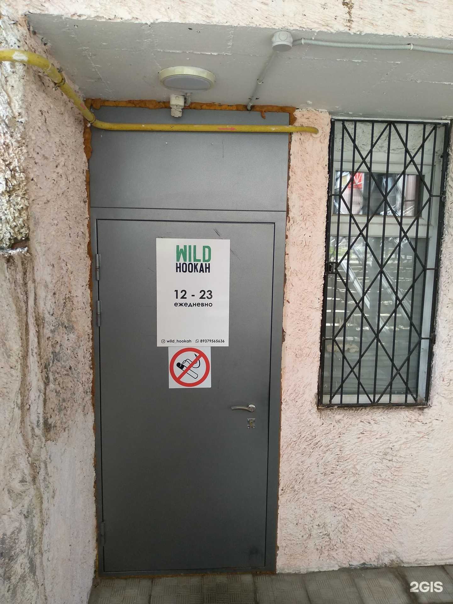 Отзывы на компанию Wild hookah в г. Чебоксары c фото