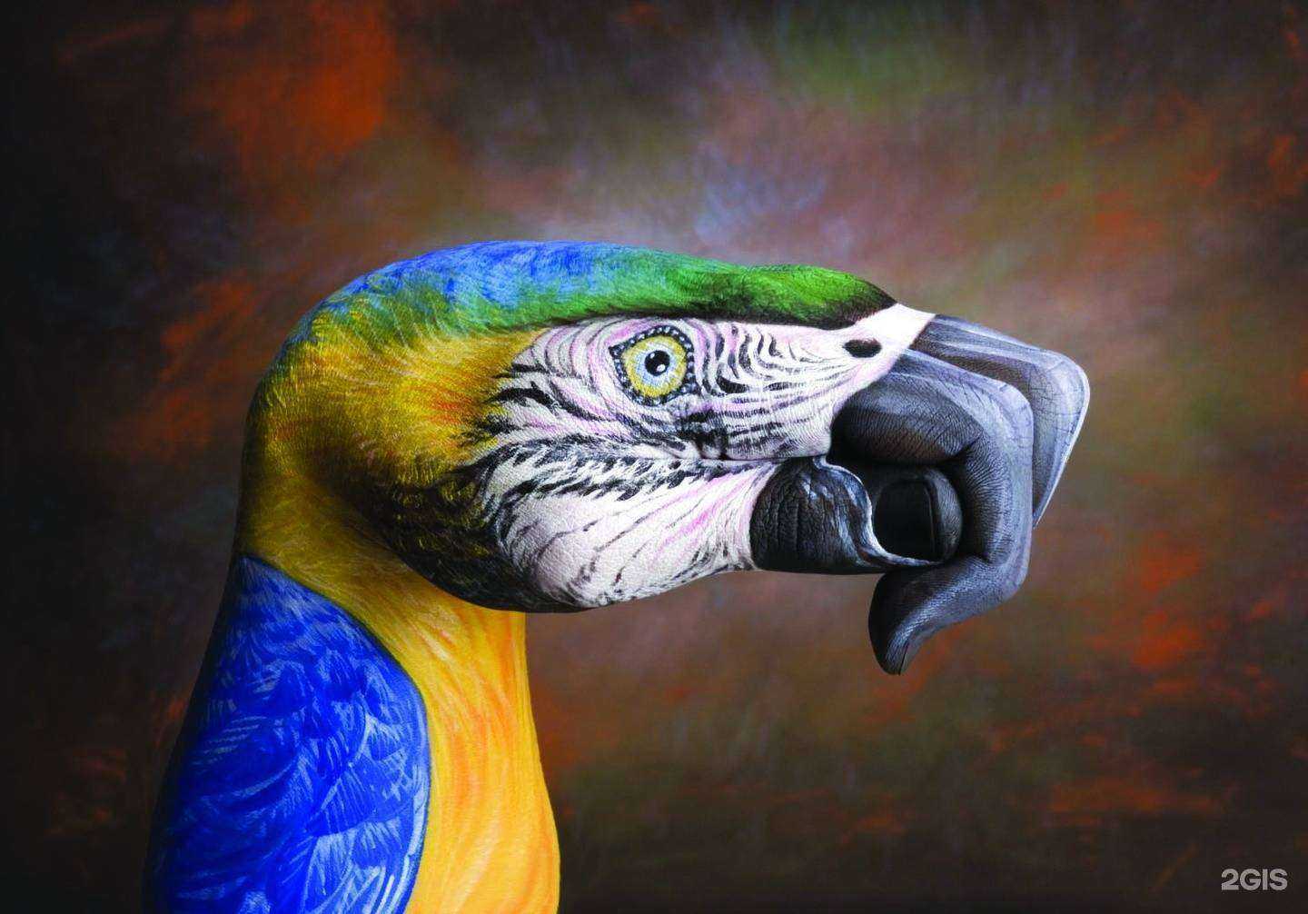 Отзывы на компанию Три-а в г. Сочи c фото