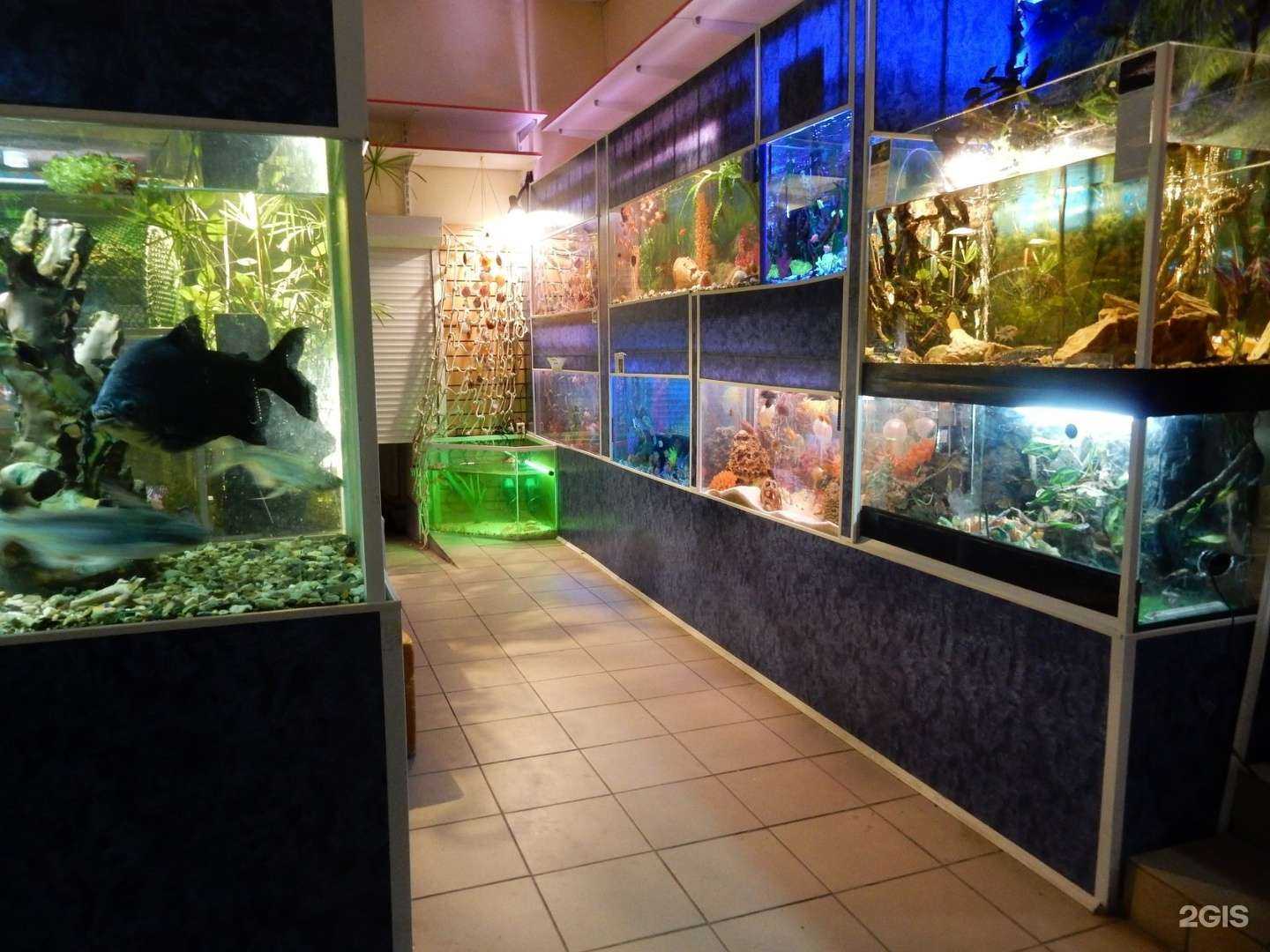 Отзывы на компанию Zoomakc в Кургане c фото