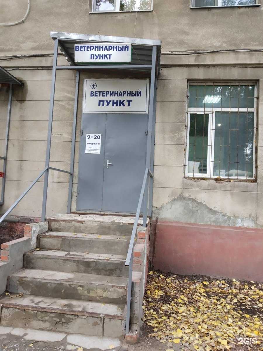 Отзывы на компанию Ветеринарный пункт в Саратове c фото